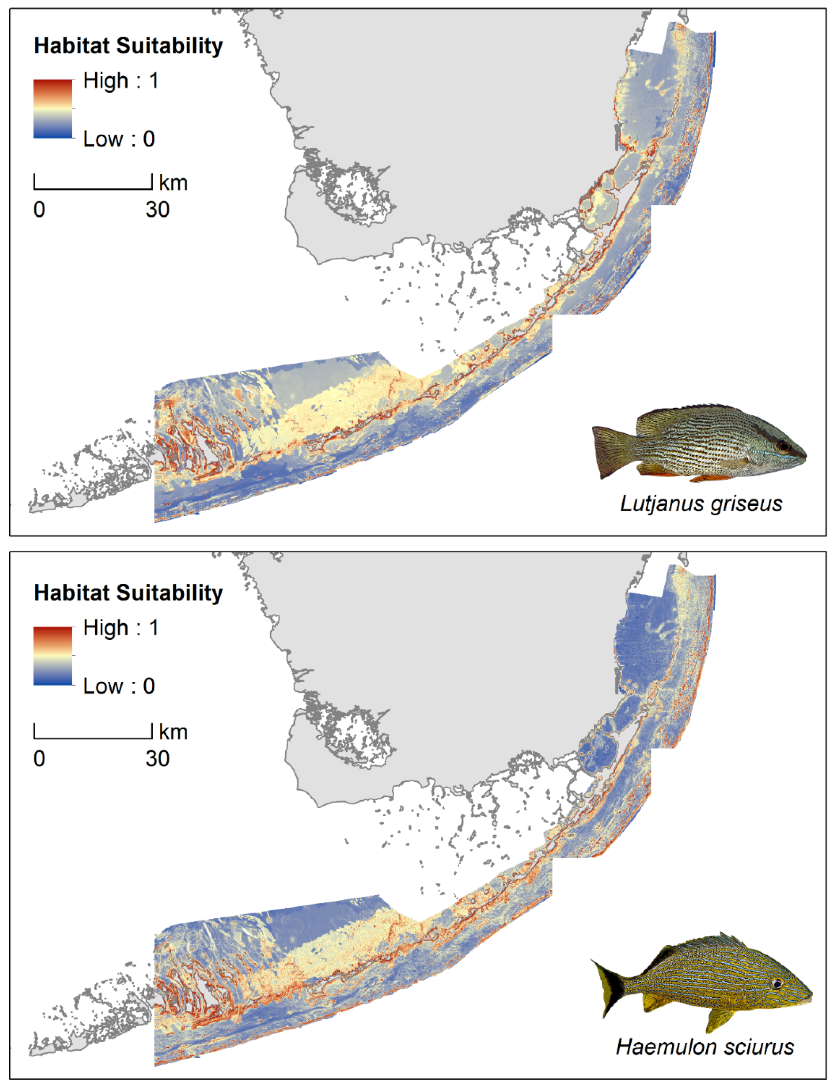 Diversity 13 00465 g003