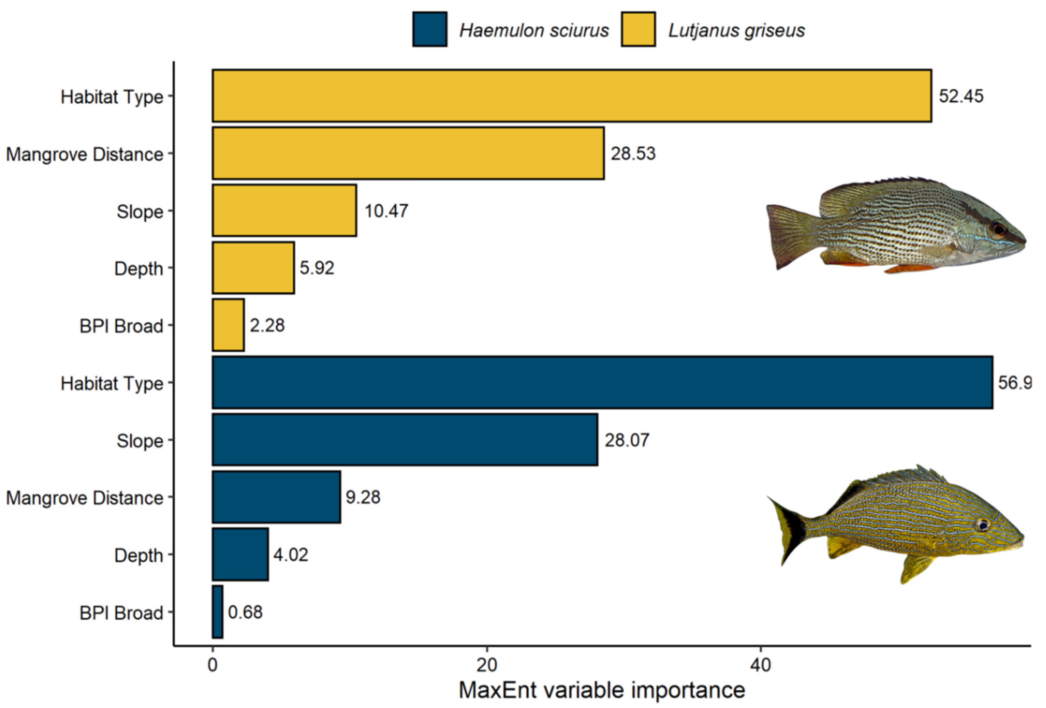 Diversity 13 00465 g004