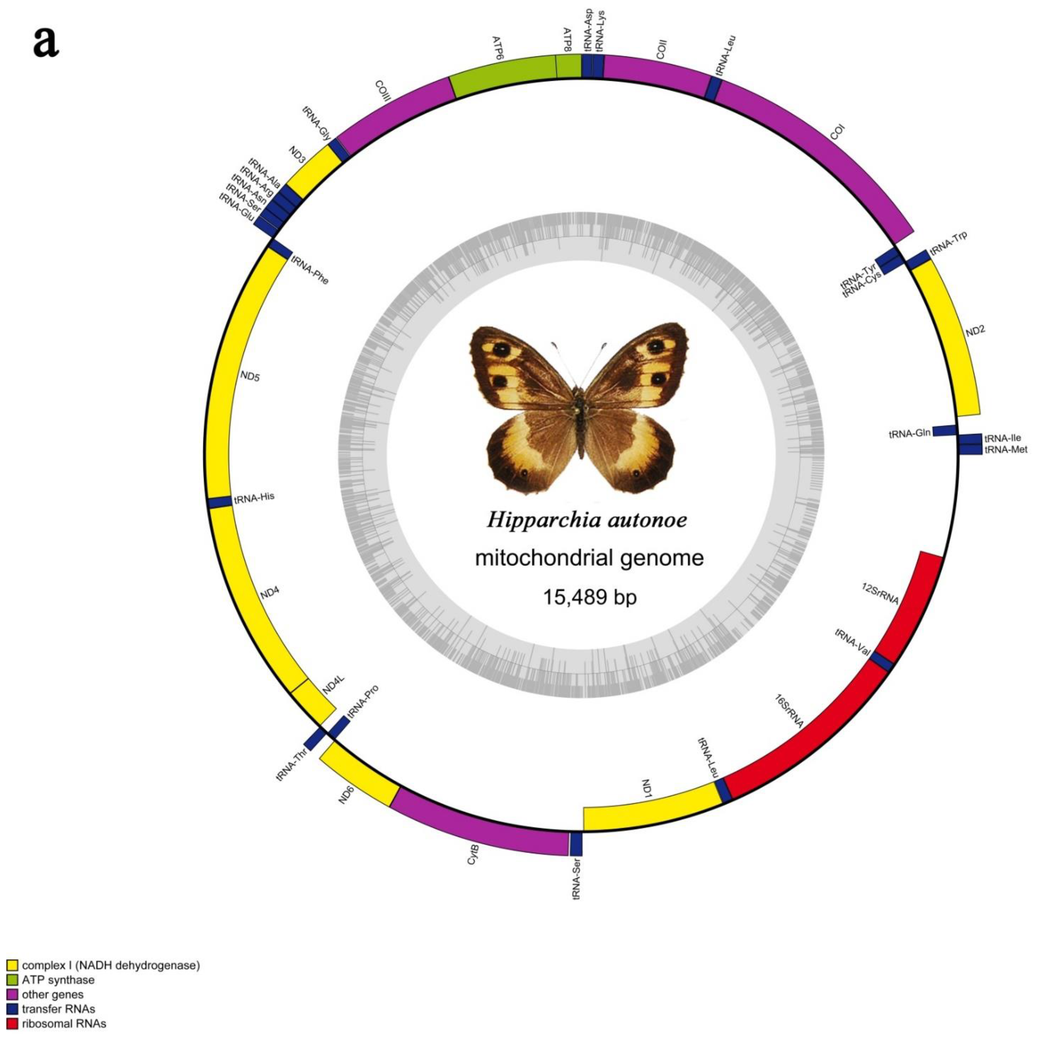 Diversity 13 00468 g001a 550