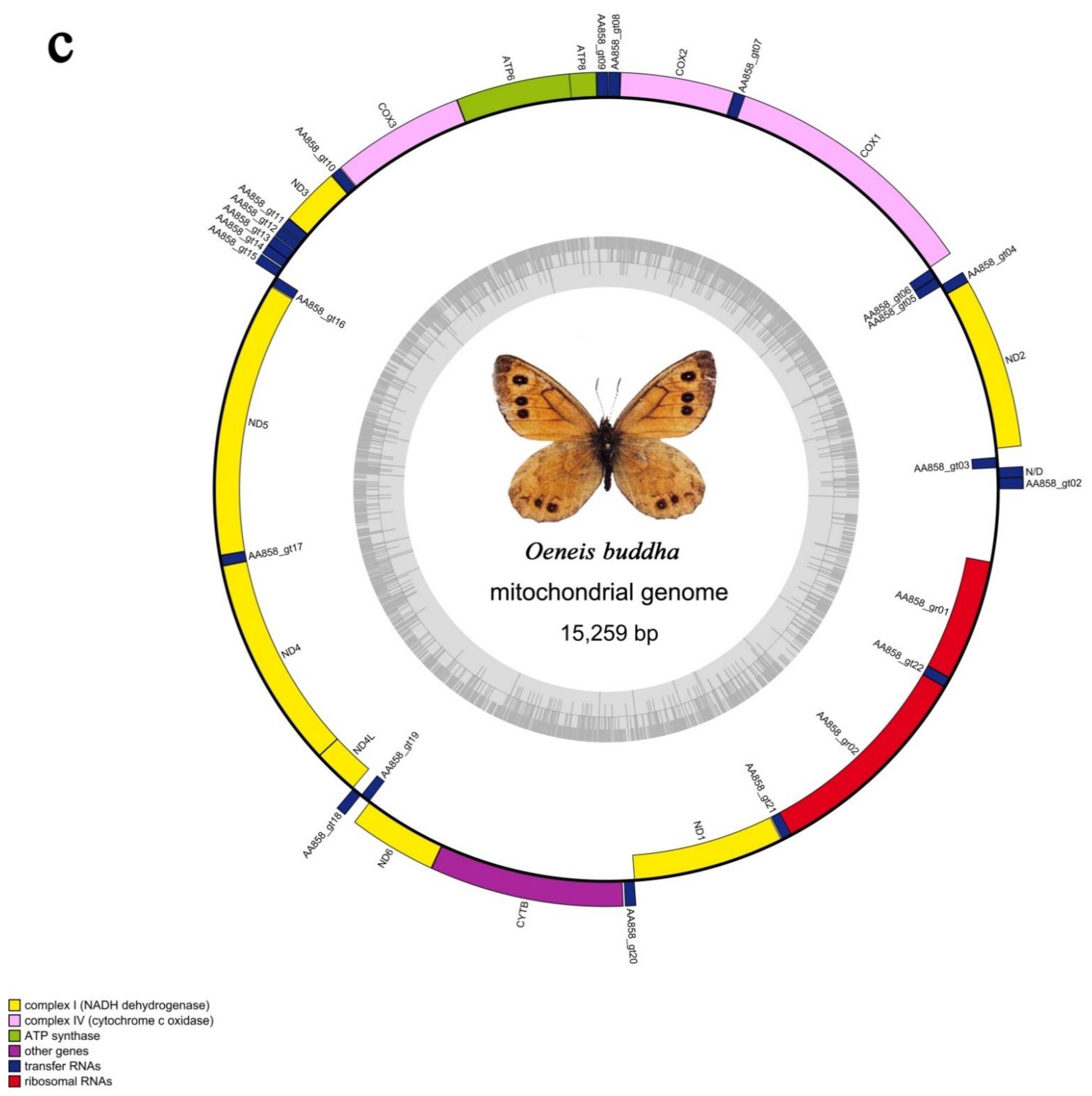Diversity 13 00468 g001c 550