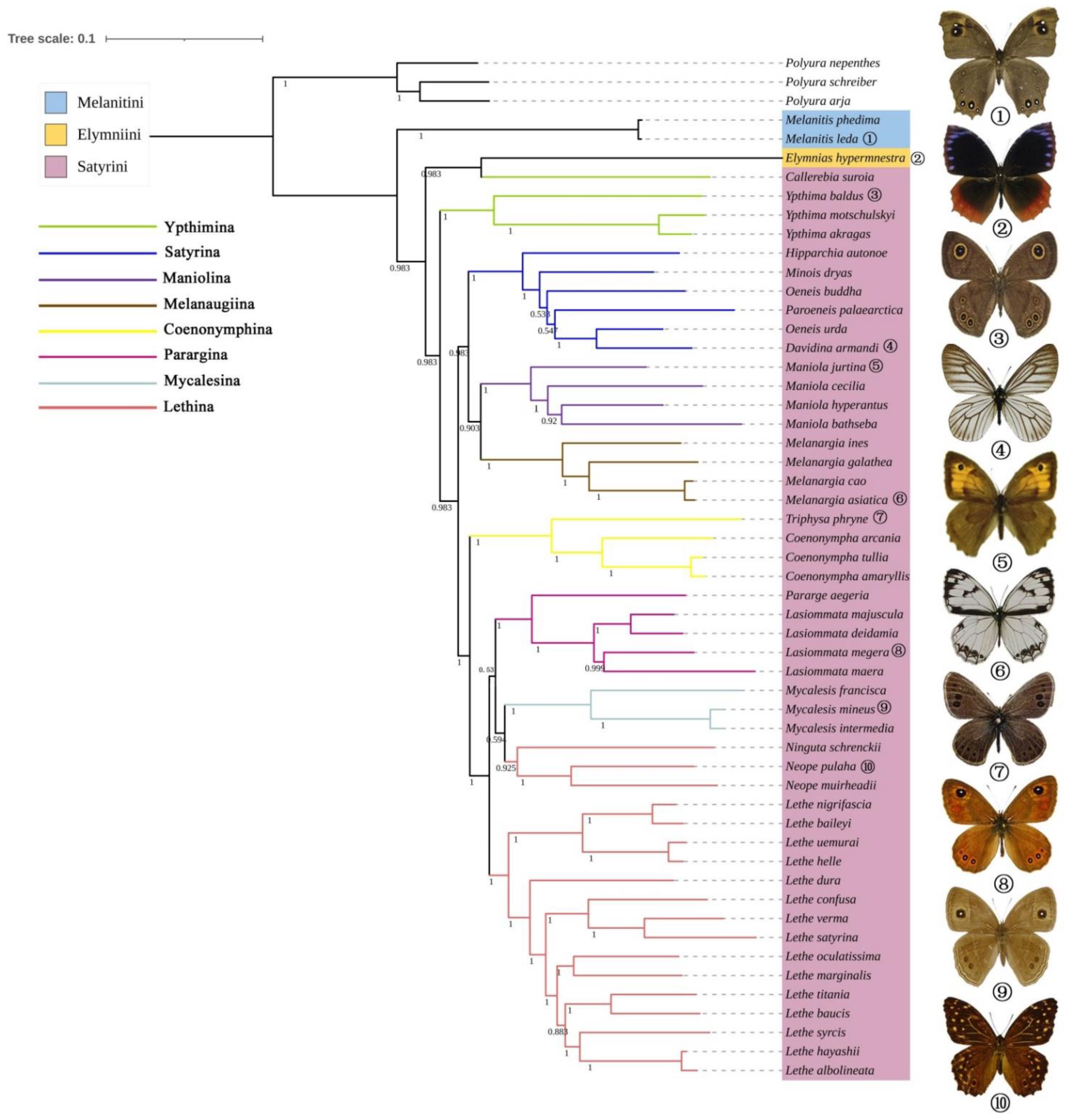Diversity 13 00468 g006 550