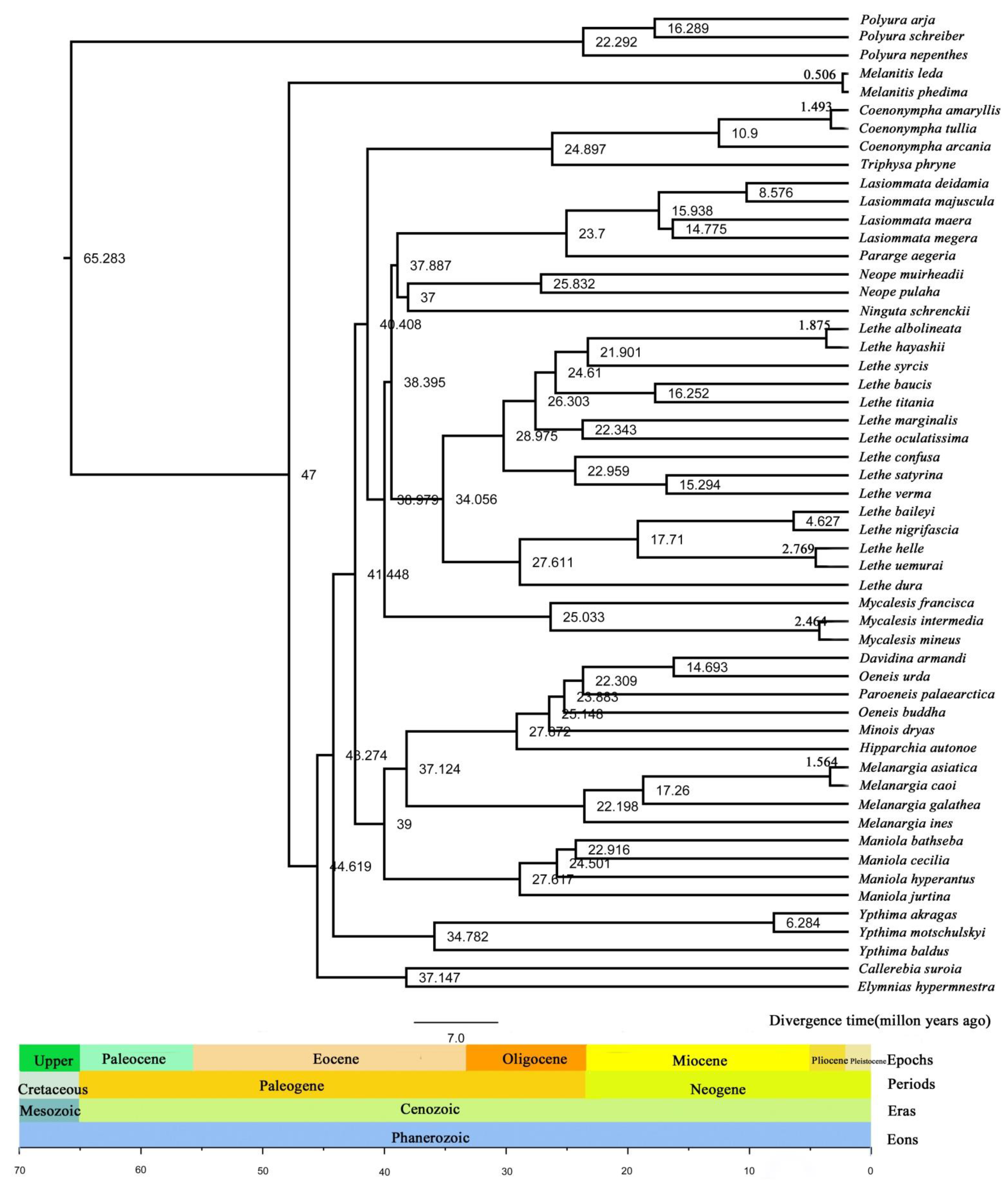 Diversity 13 00468 g007 550