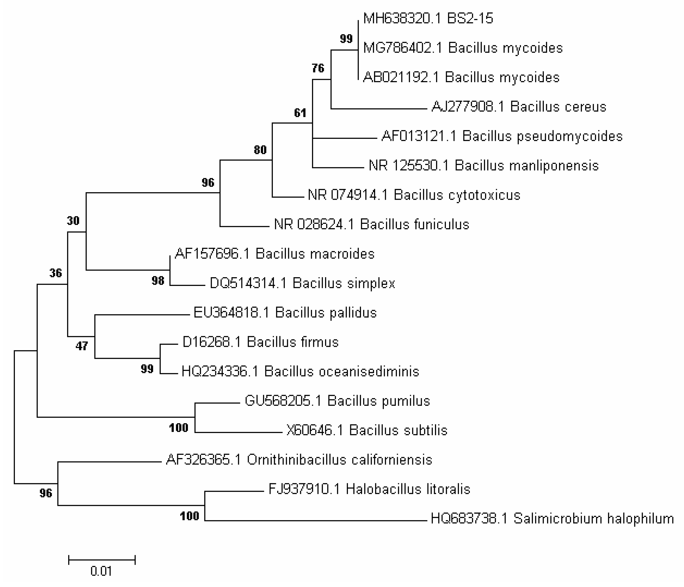 Diversity 13 00469 g002