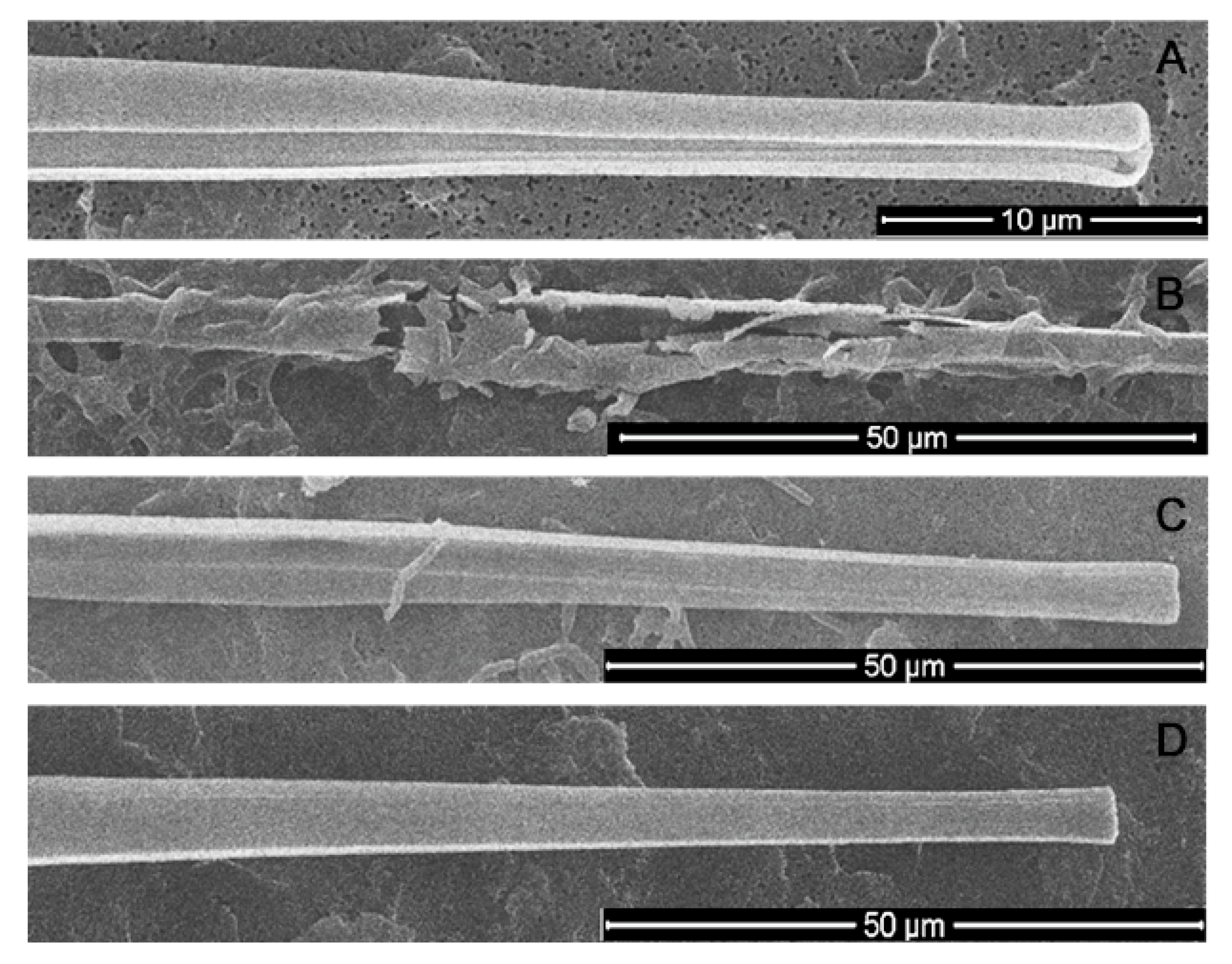 Diversity 13 00469 g008