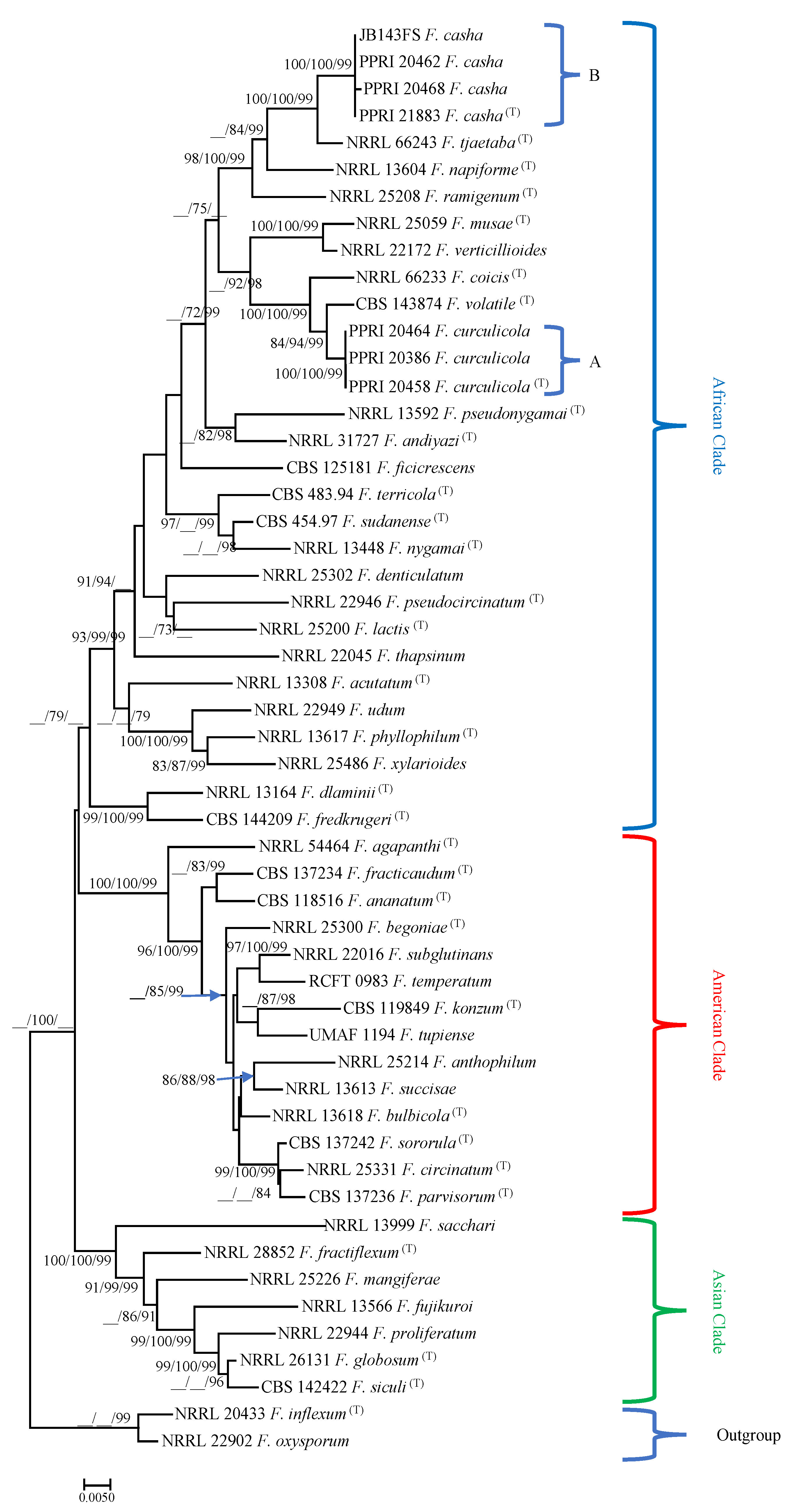 Diversity 13 00472 g001 Diversity 13 00472 g001