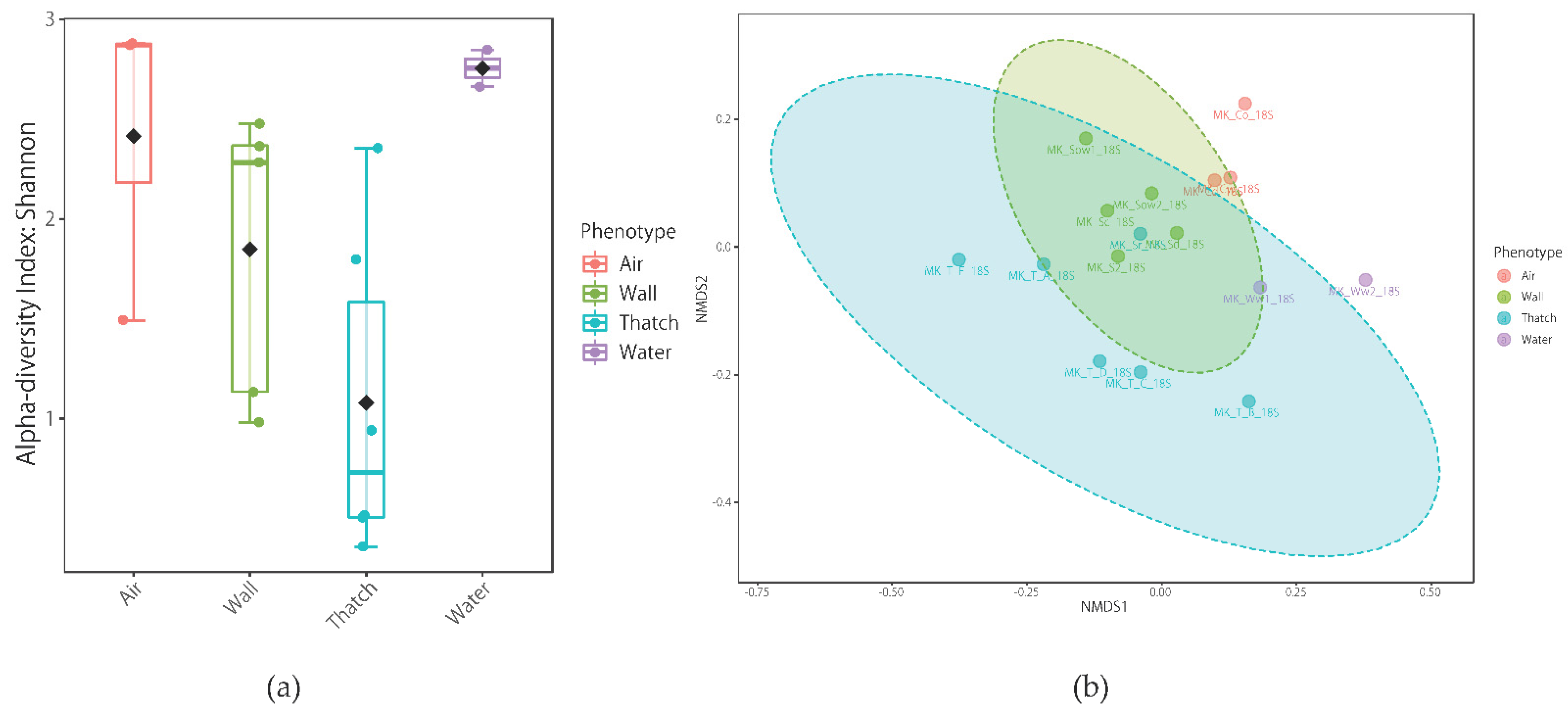 Diversity 13 00475 g009