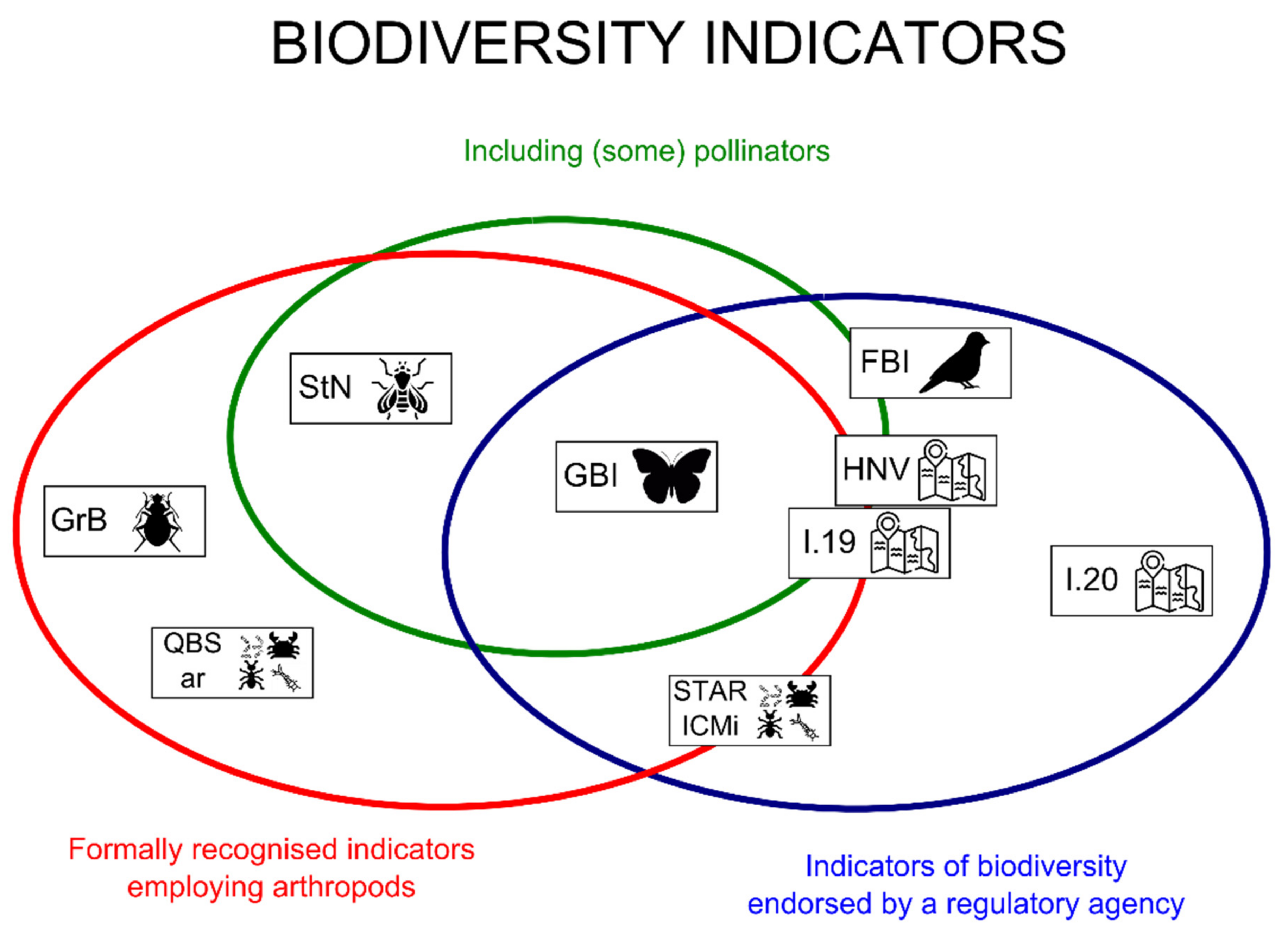 Diversity 13 00477 g001