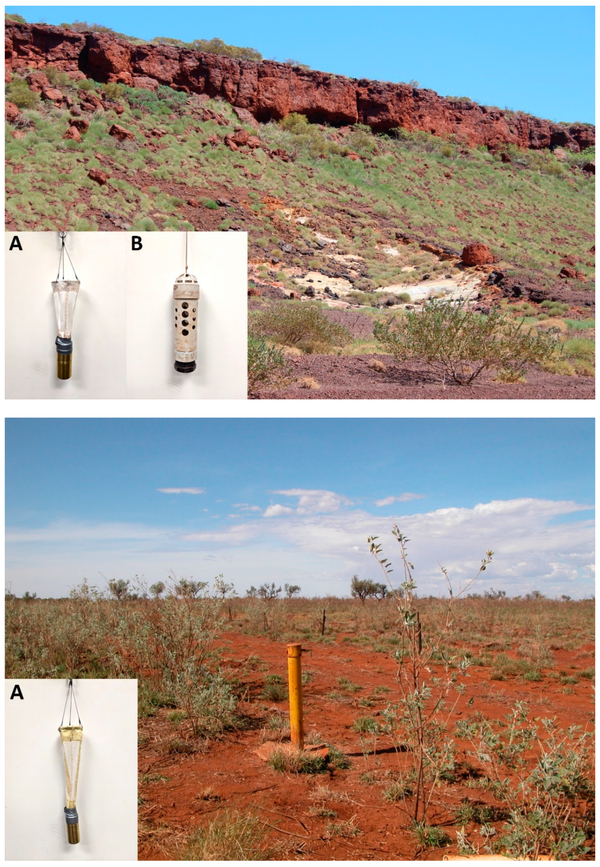 Diversity 13 00482 g003 Diversity 13 00482 g003