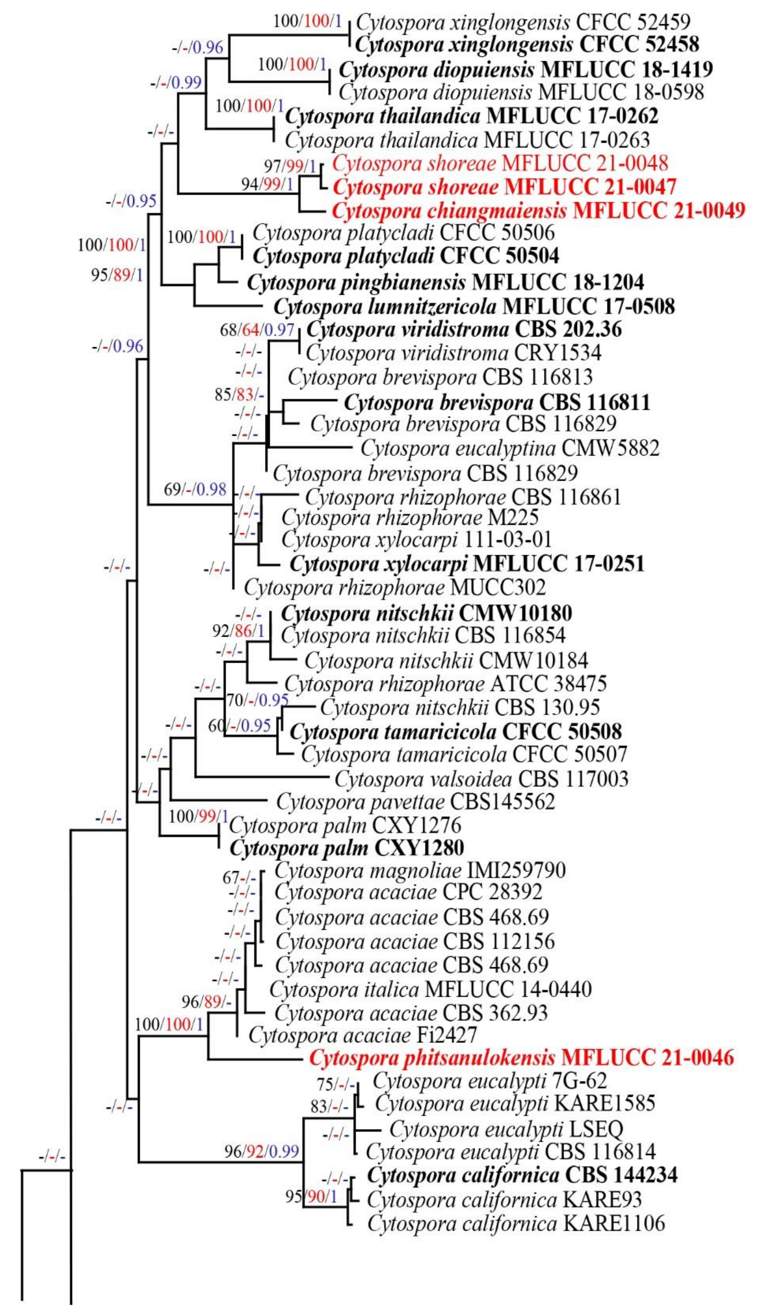 Diversity 13 00488 g001a 550