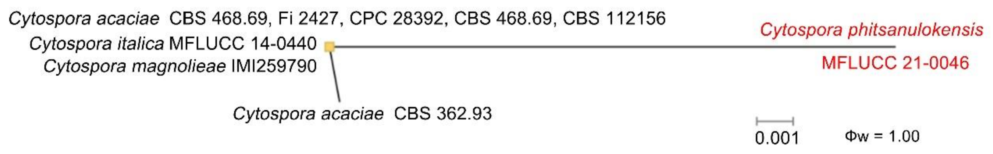 Diversity 13 00488 g002 550