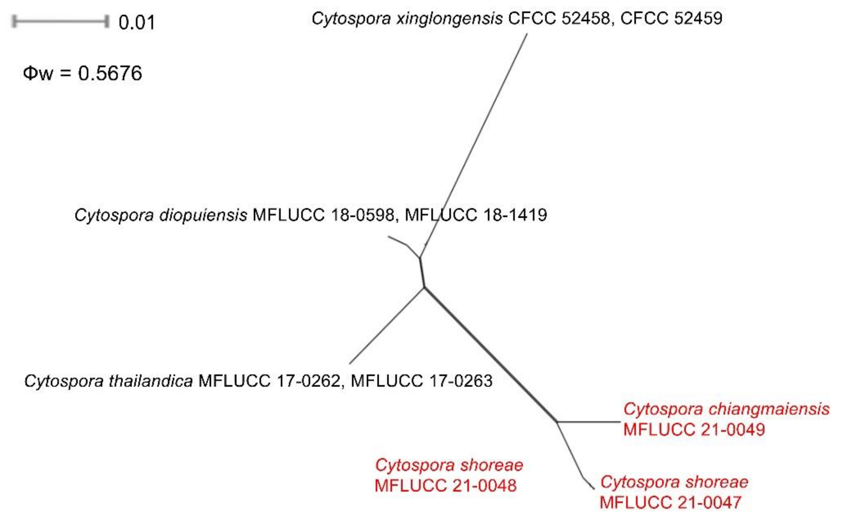 Diversity 13 00488 g003 550