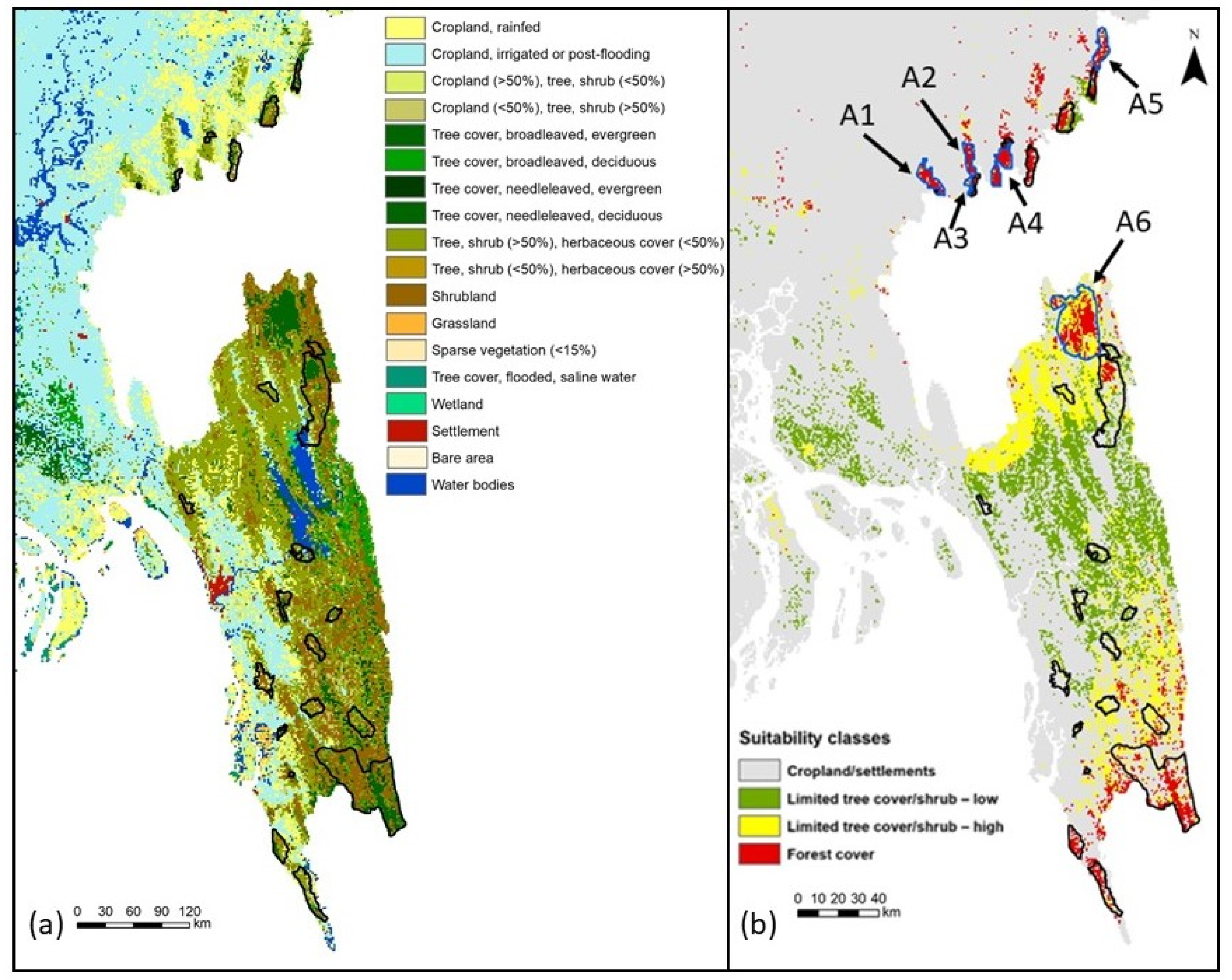 Diversity 13 00490 g003