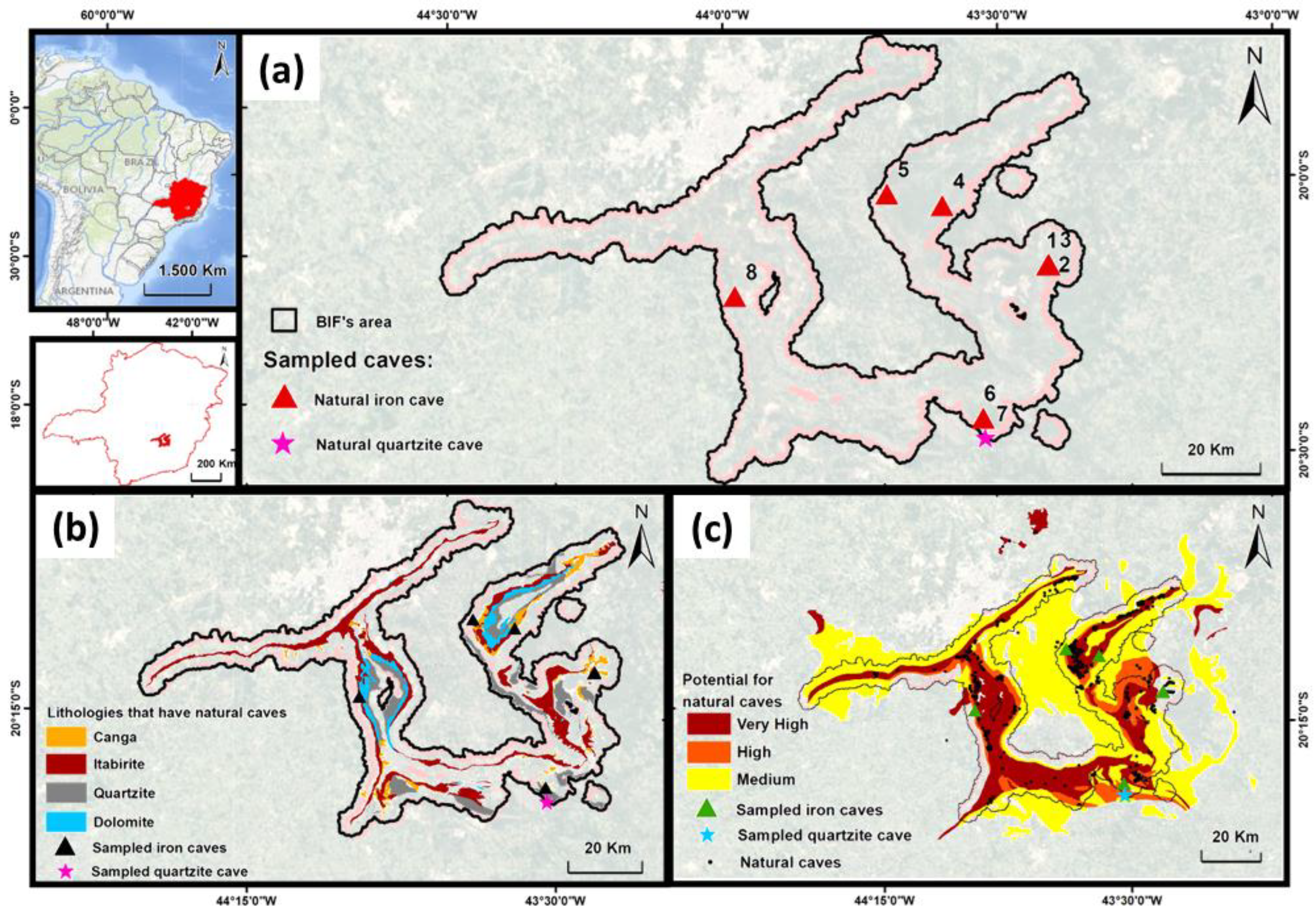 Diversity 13 00494 g001 Diversity 13 00494 g001