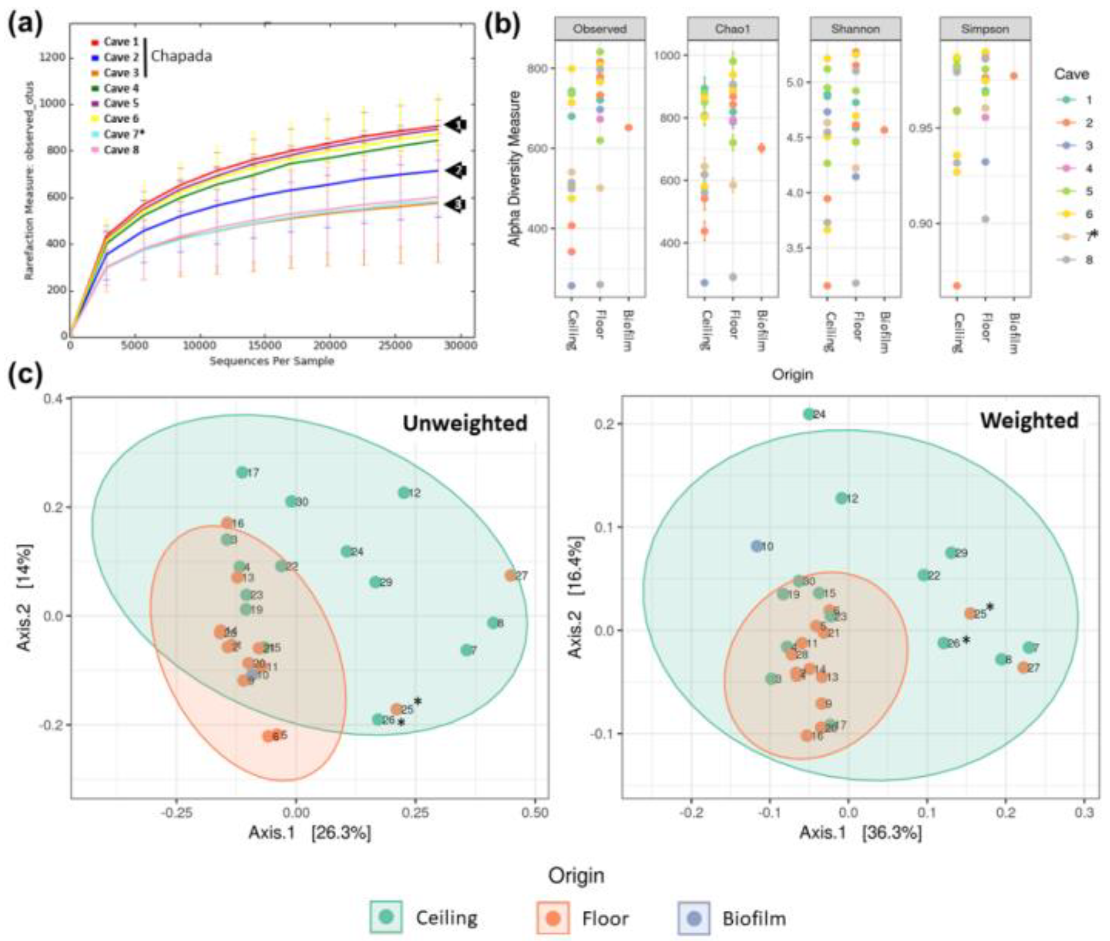 Diversity 13 00494 g002 Diversity 13 00494 g002