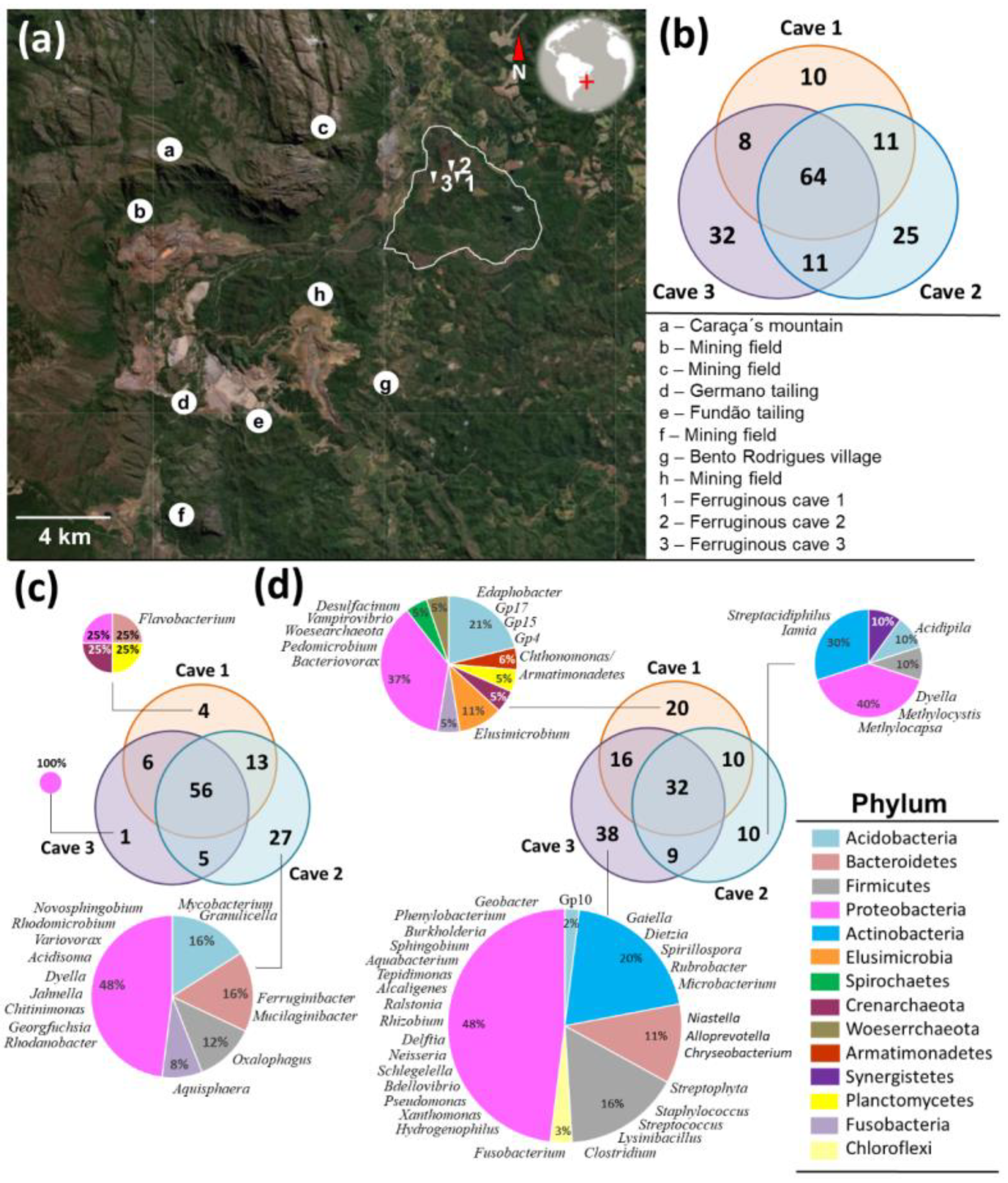 Diversity 13 00494 g006 Diversity 13 00494 g006