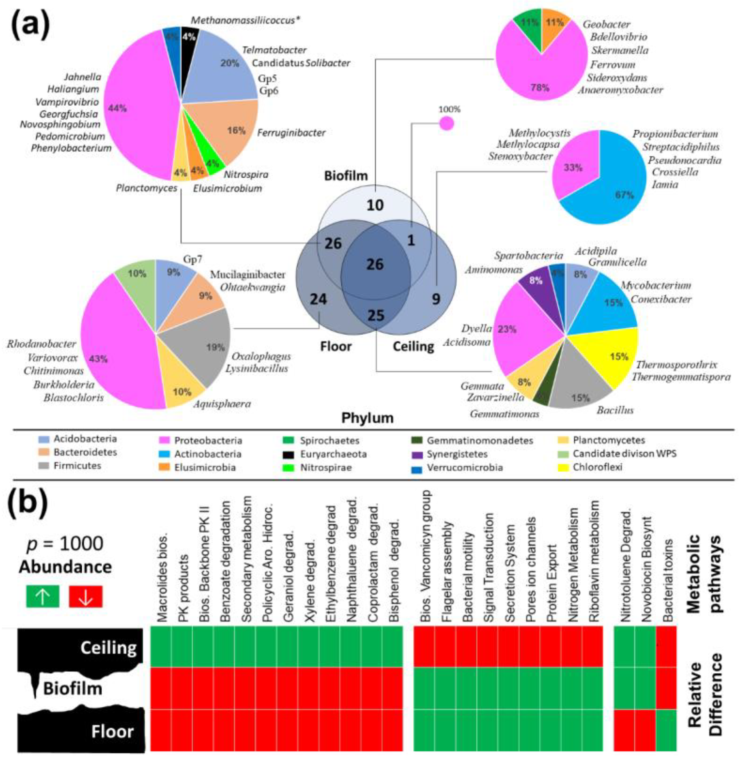 Diversity 13 00494 g007 Diversity 13 00494 g007