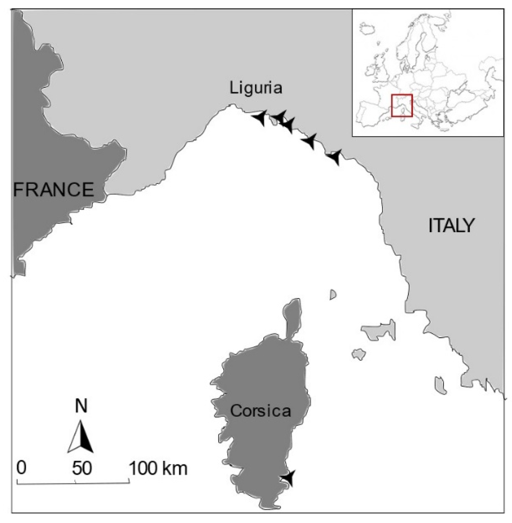 Diversity 13 00499 g001 Diversity 13 00499 g001