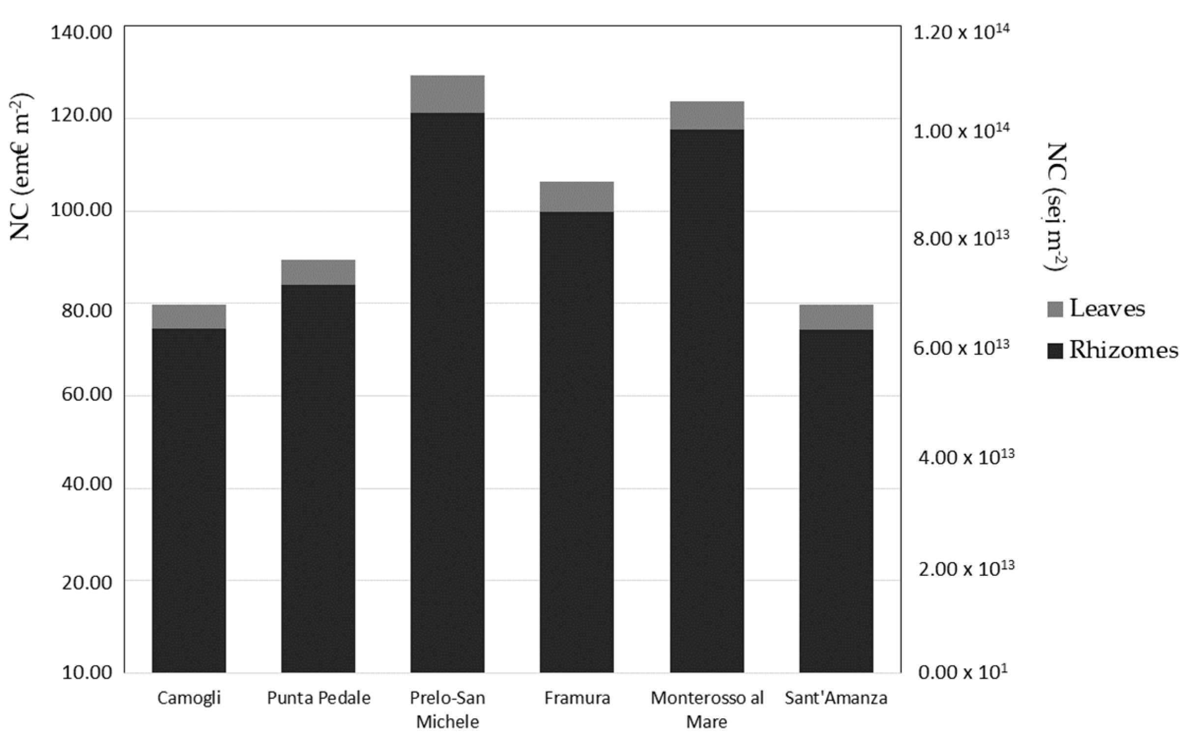 Diversity 13 00499 g002 Diversity 13 00499 g002
