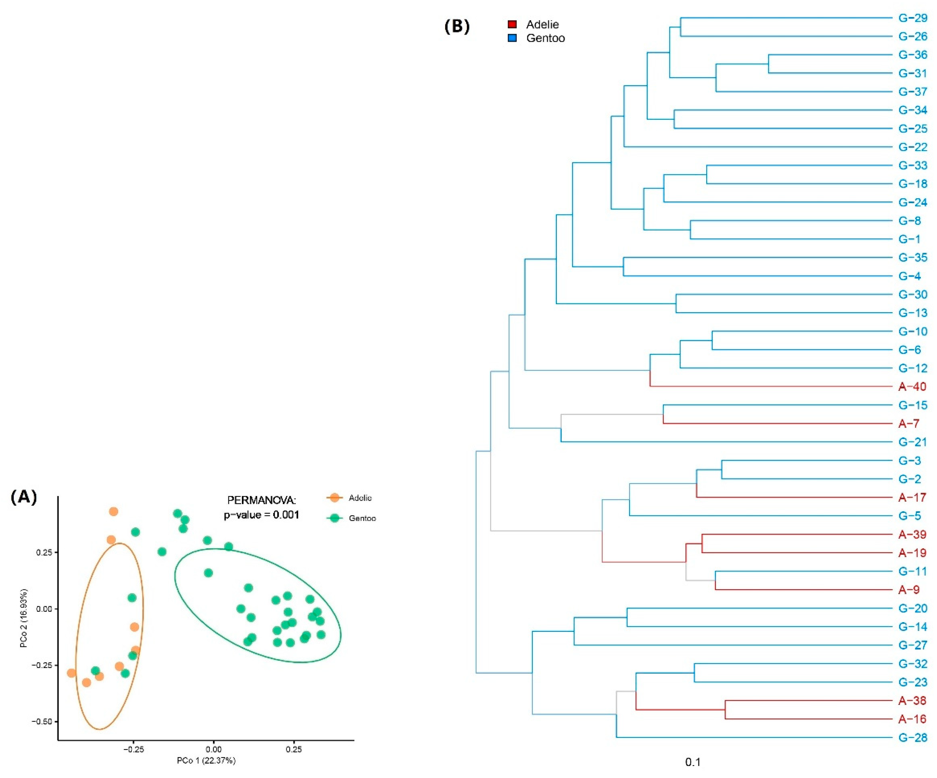 Diversity 13 00500 g004 Diversity 13 00500 g004