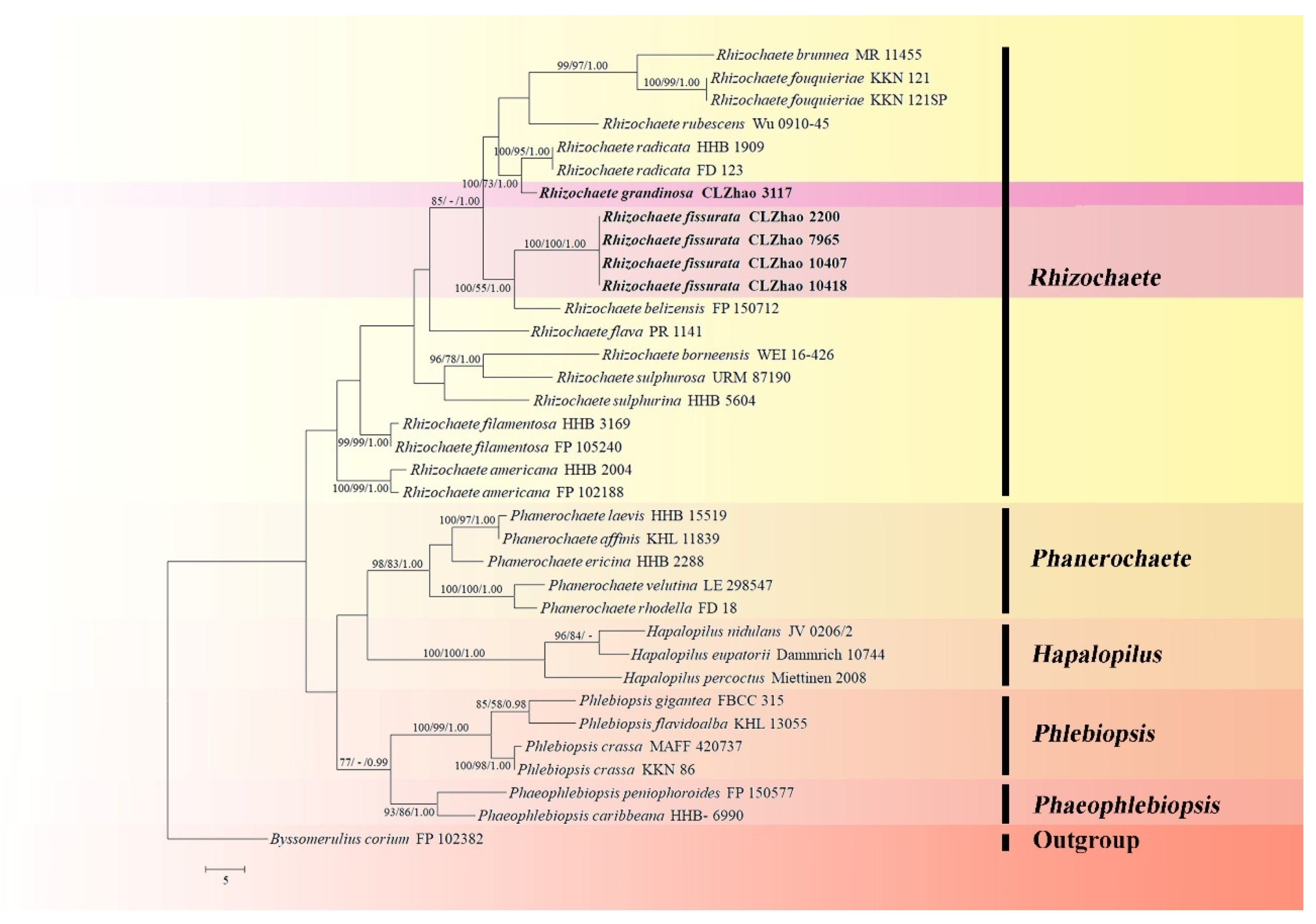 Diversity 13 00503 g001 Diversity 13 00503 g001