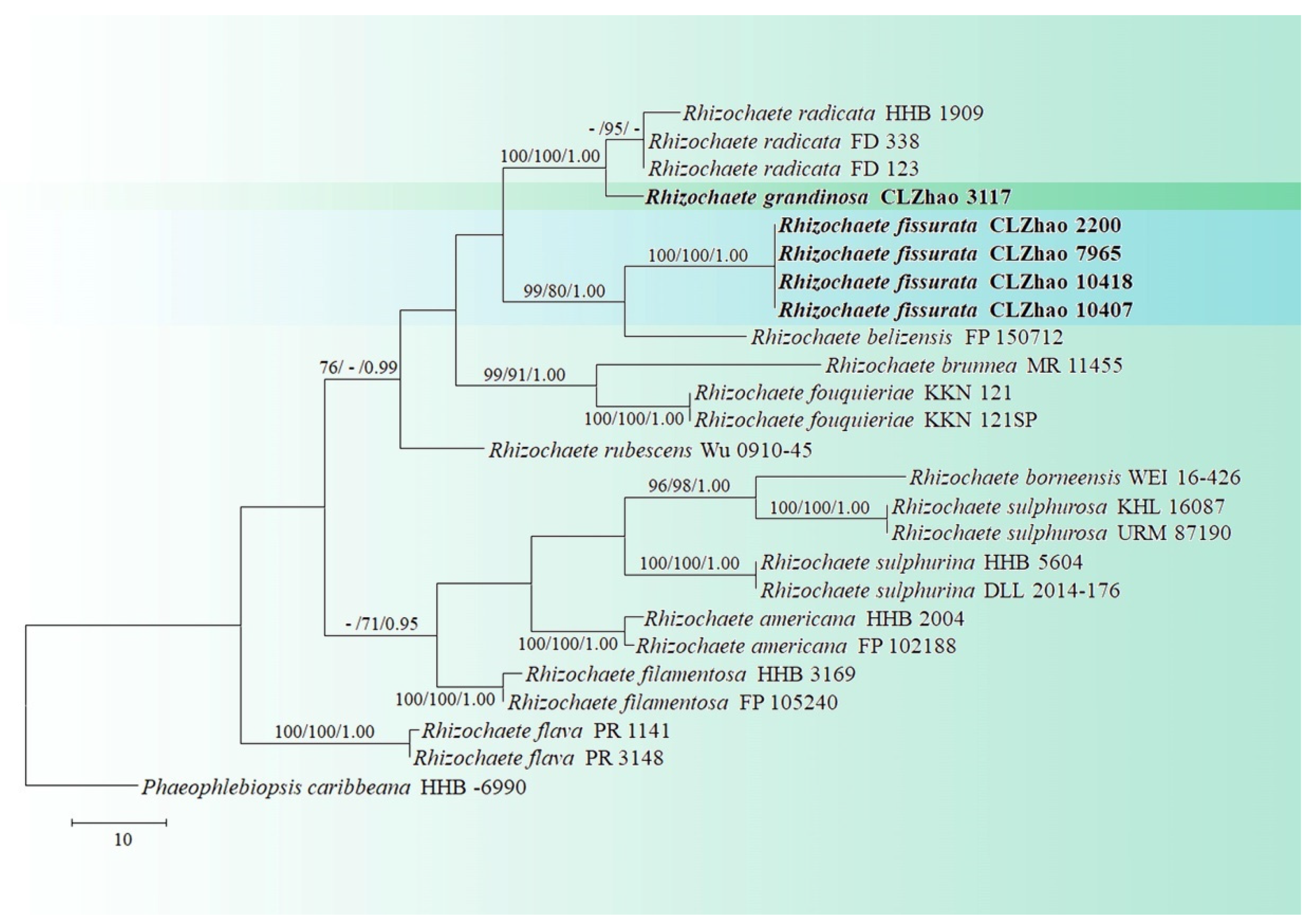 Diversity 13 00503 g002 Diversity 13 00503 g002