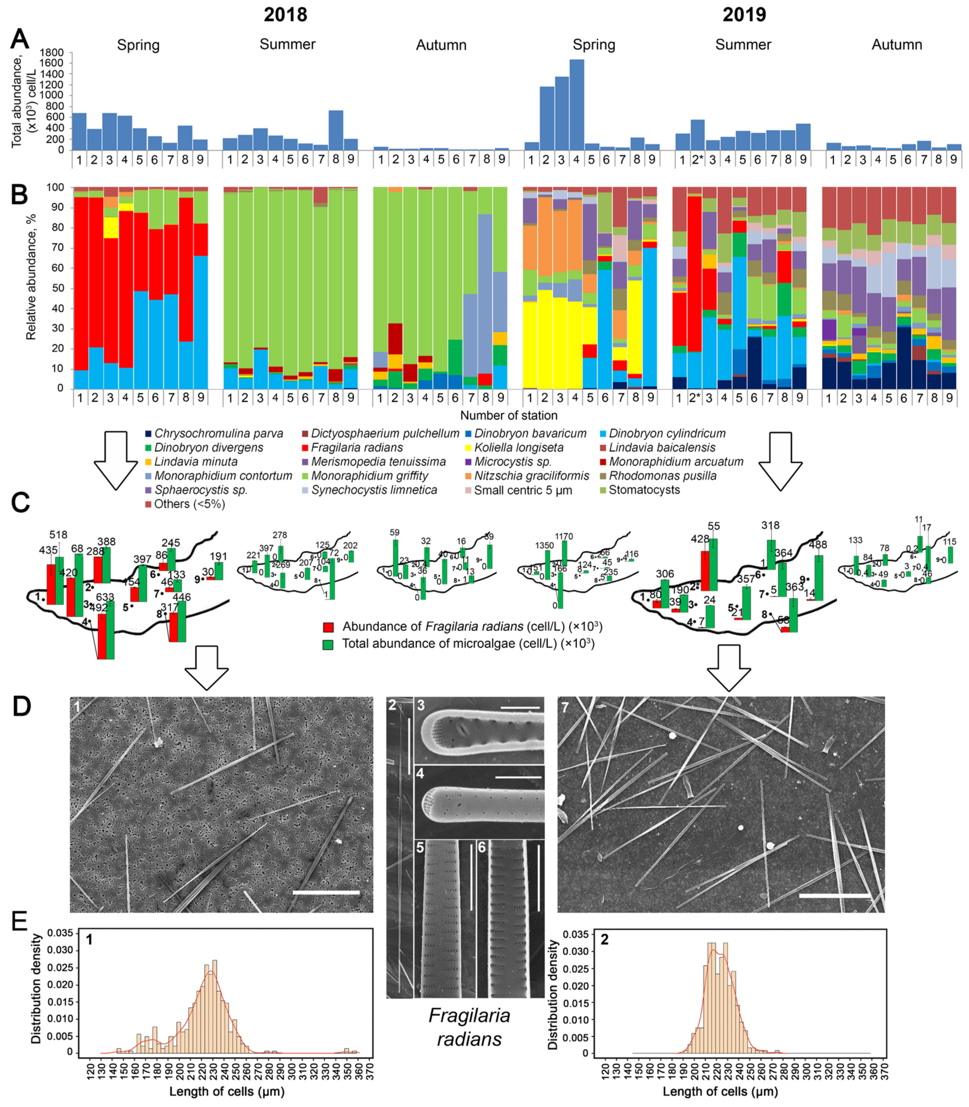 Diversity 13 00504 g002 550