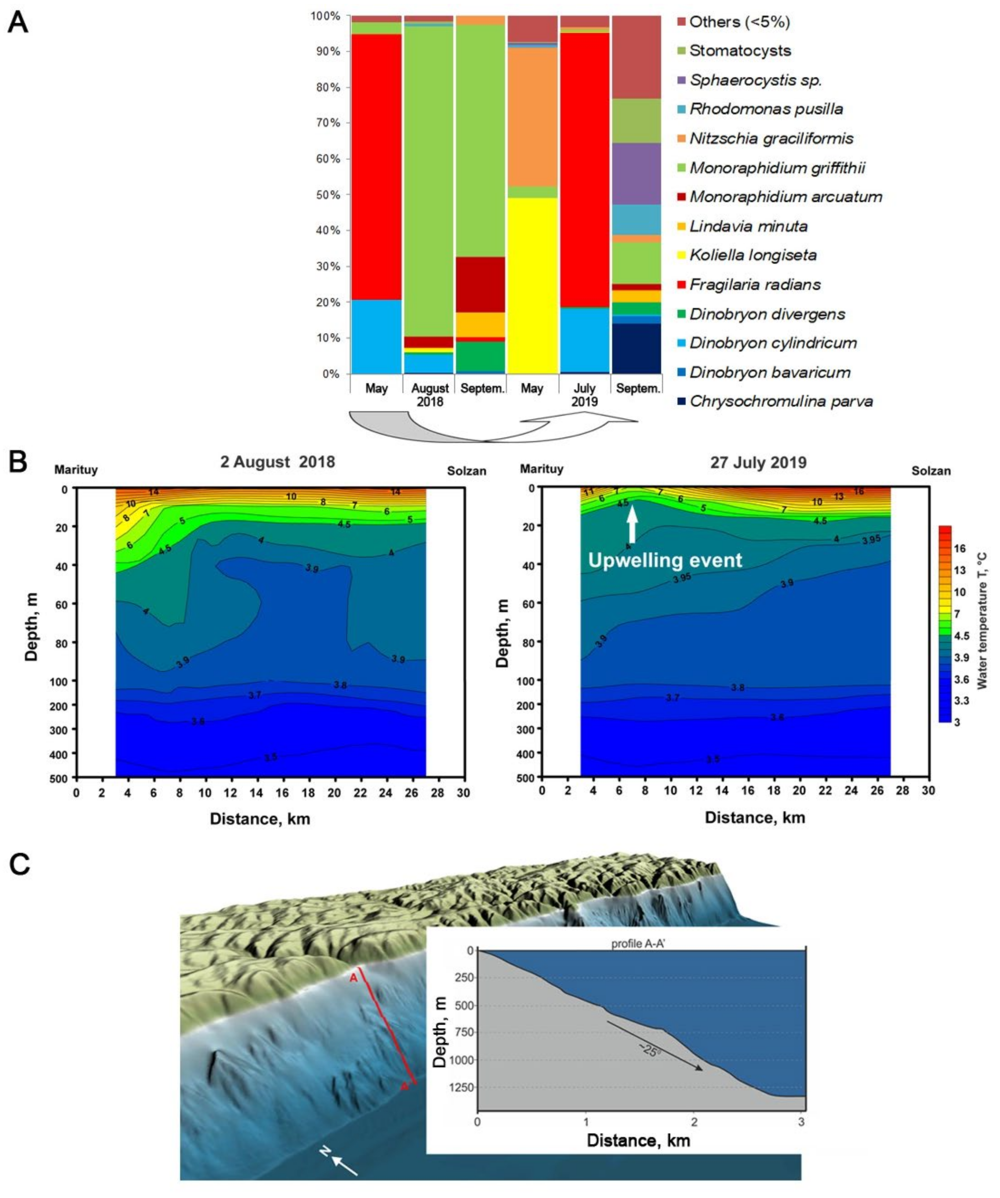 Diversity 13 00504 g004 550