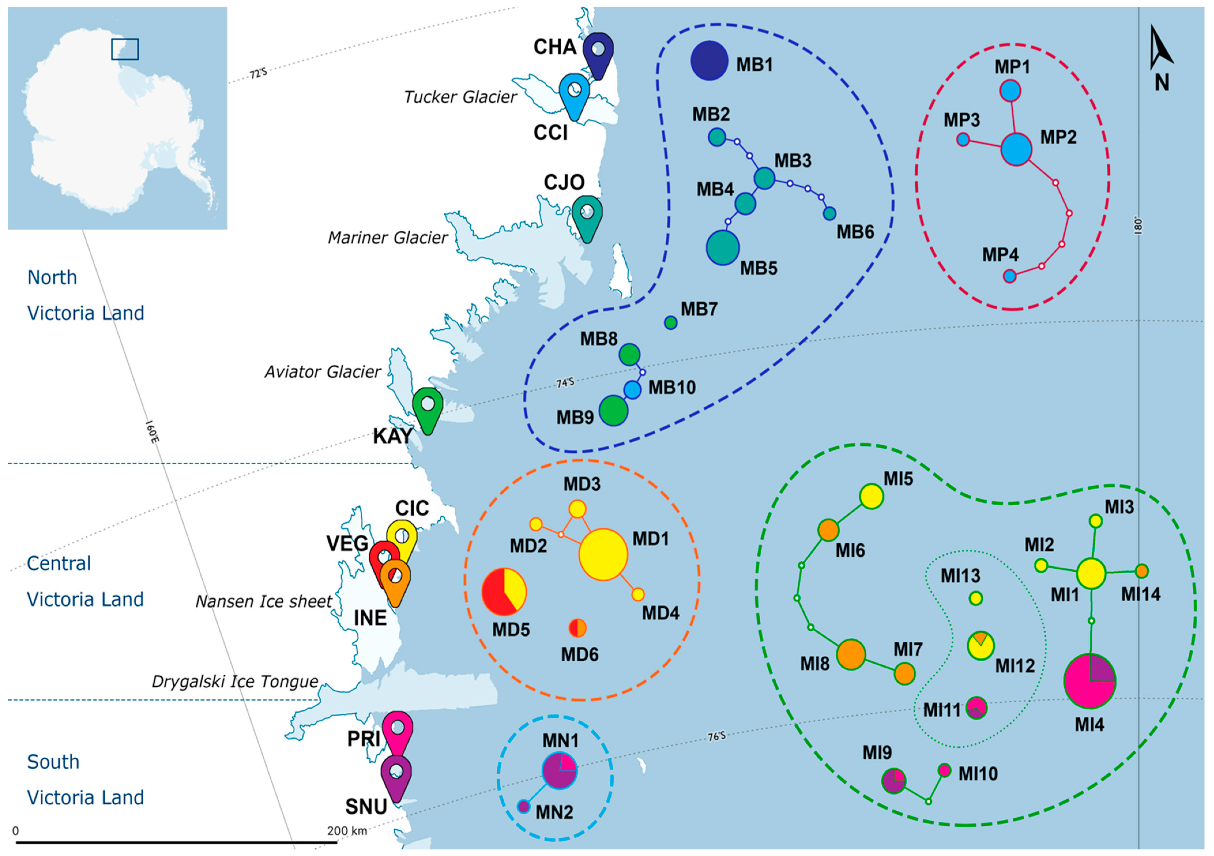 Diversity 13 00506 g002