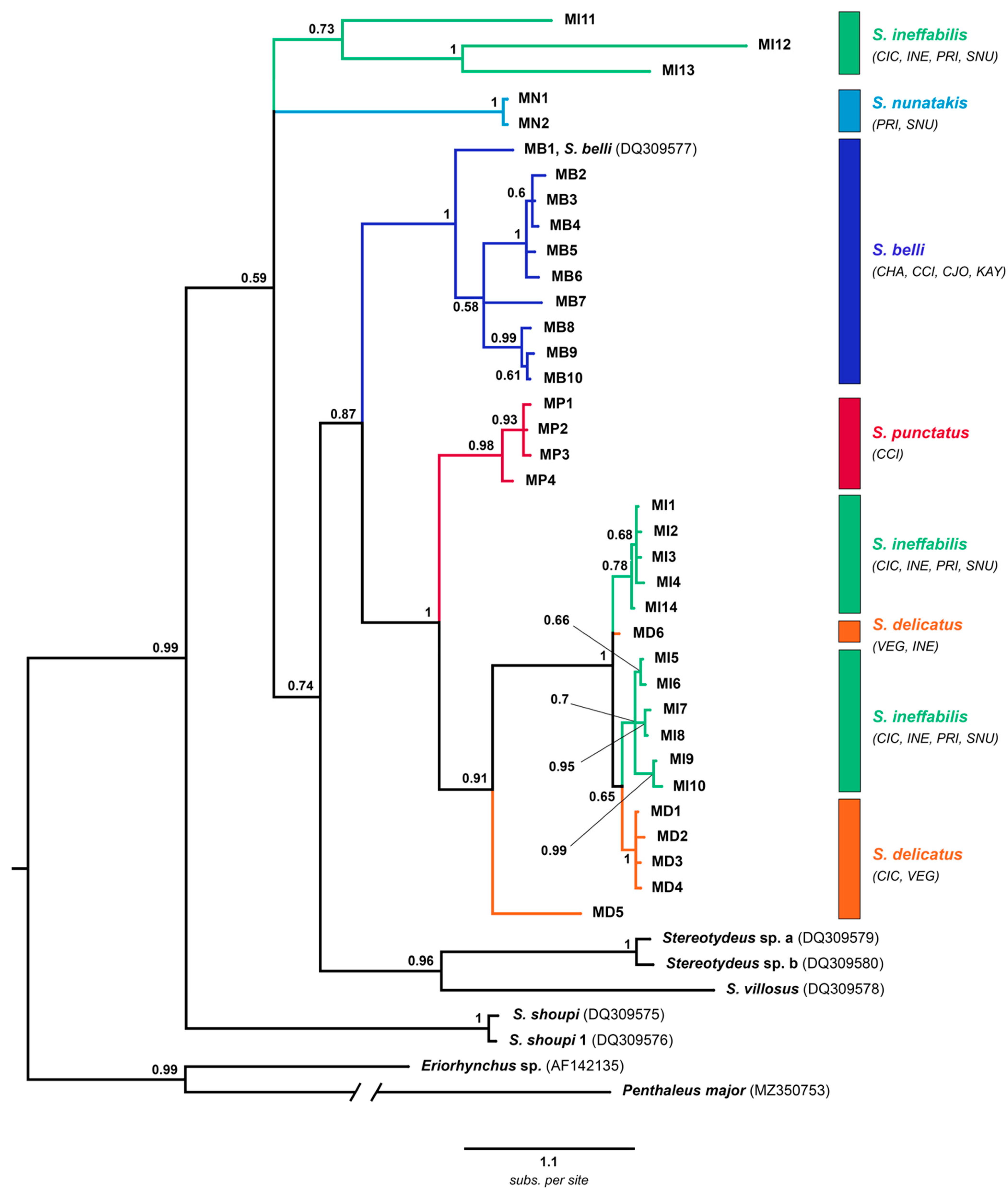 Diversity 13 00506 g003