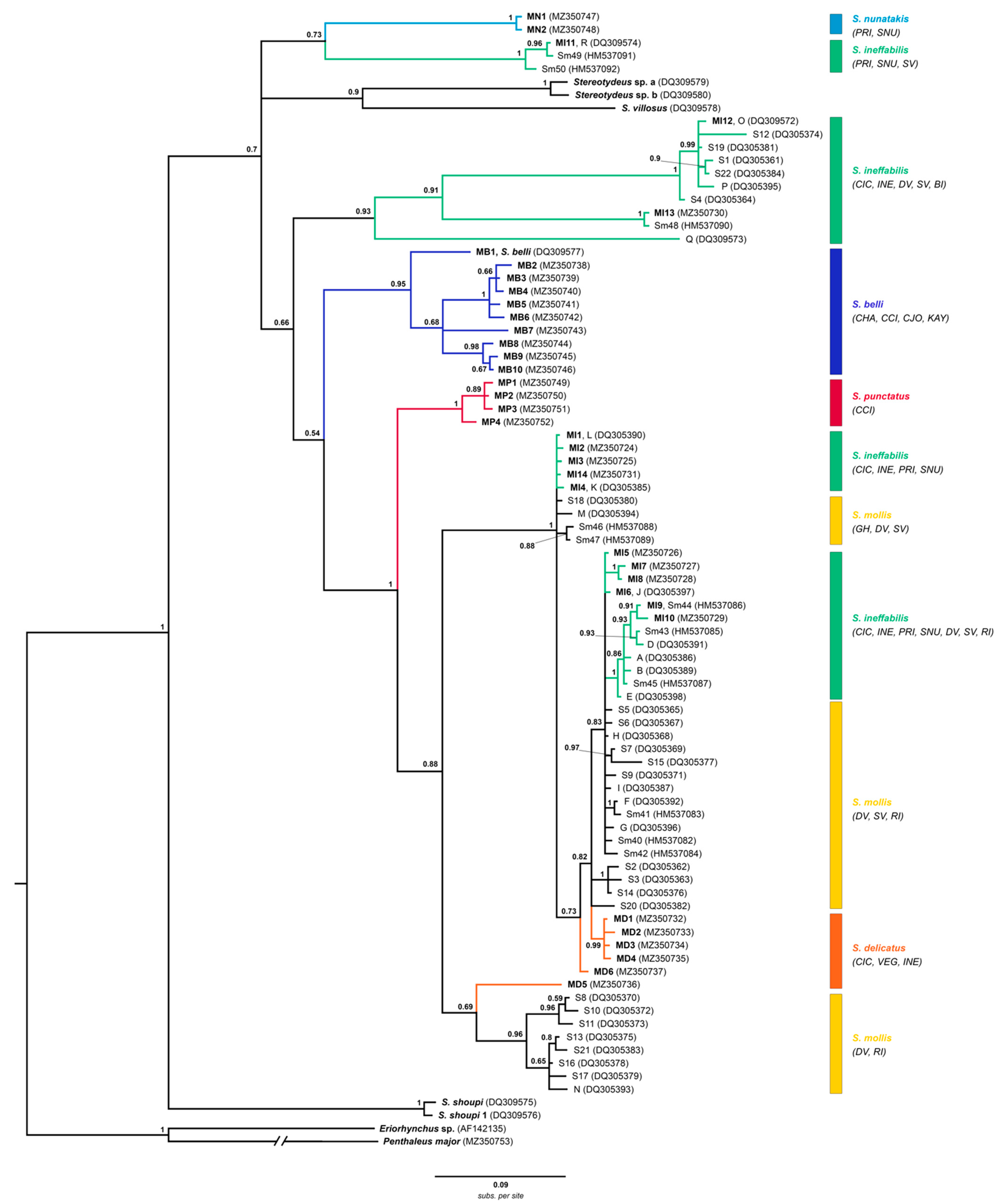 Diversity 13 00506 g004