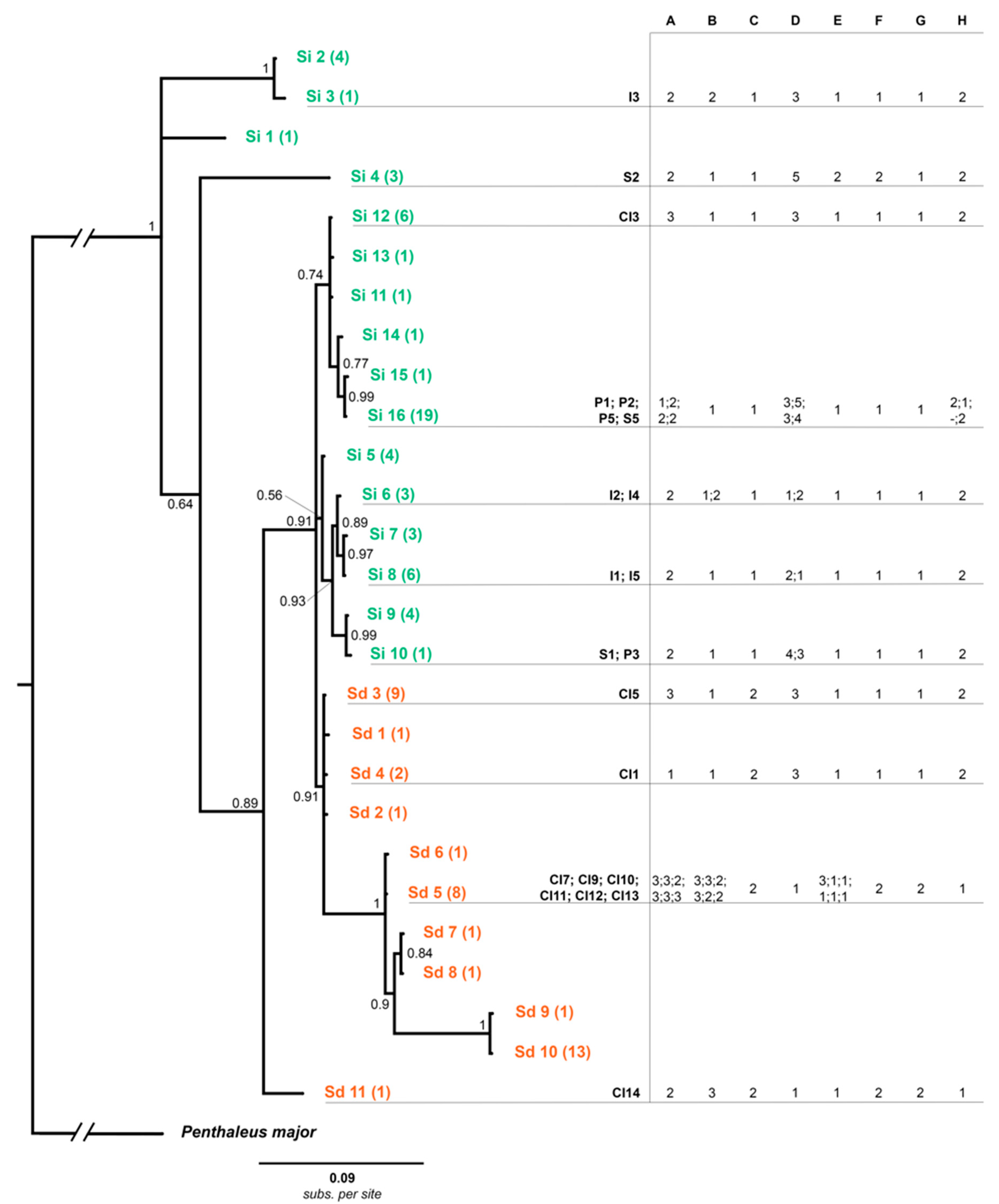 Diversity 13 00506 g006
