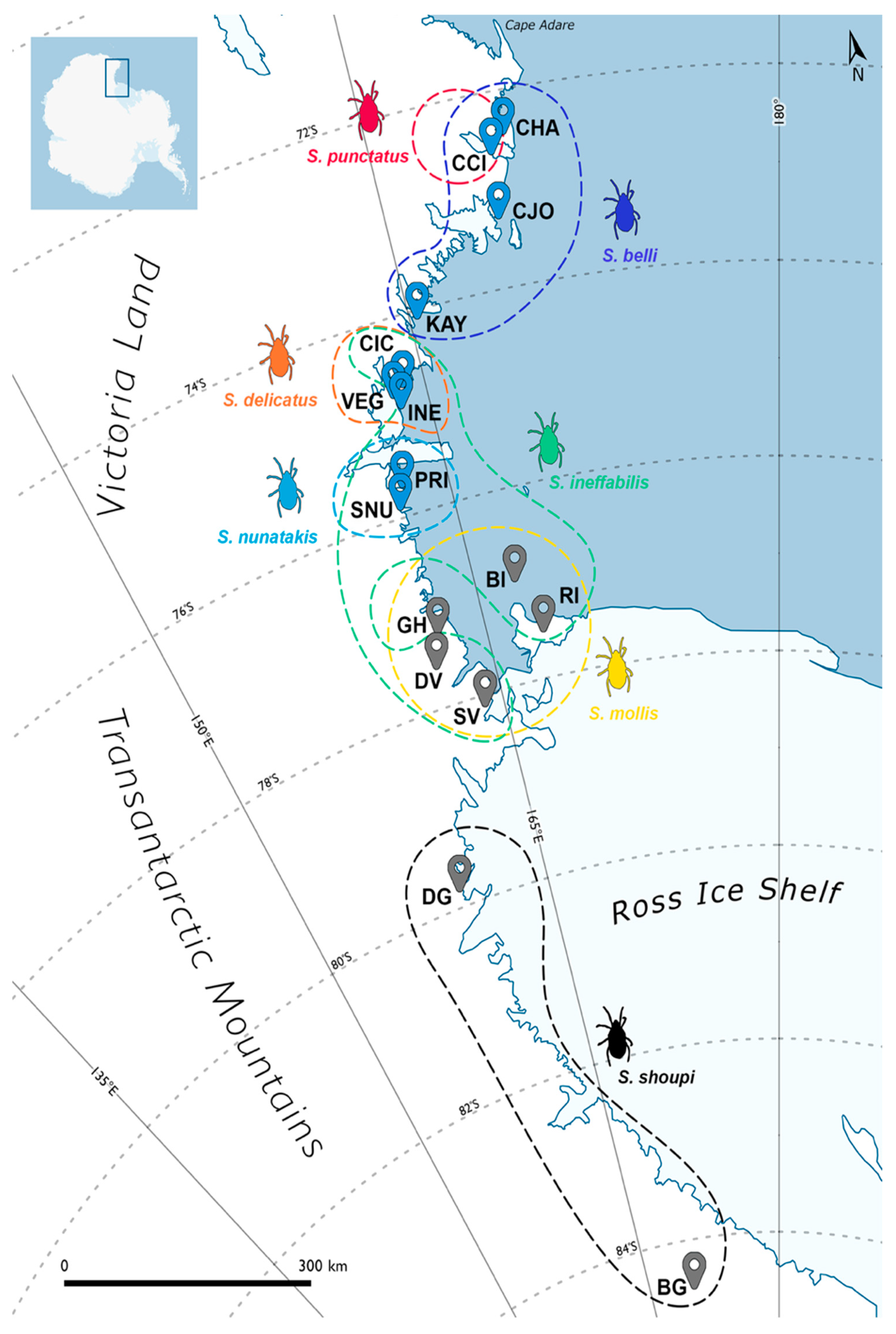 Diversity 13 00506 g007