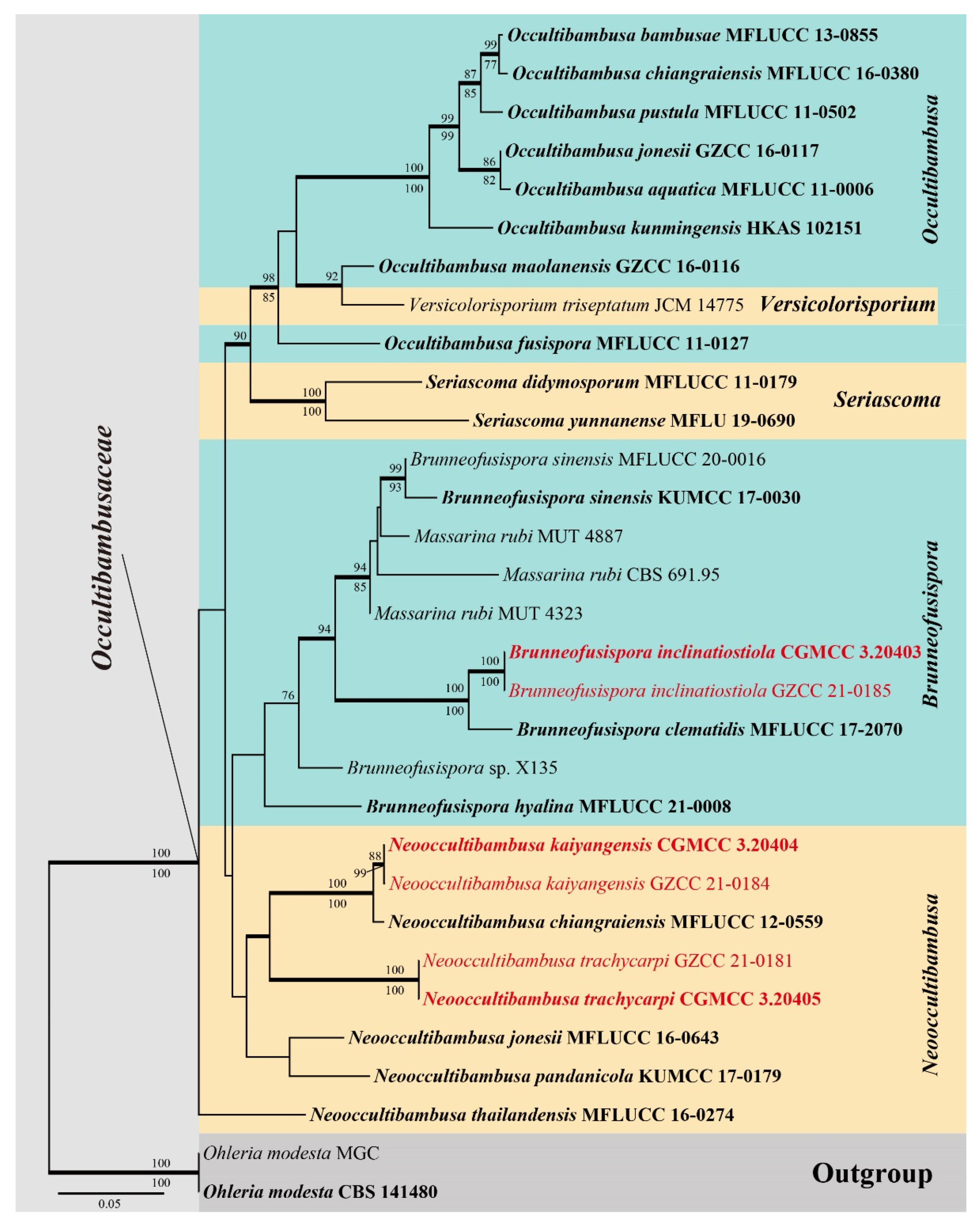Diversity 13 00516 g001 550
