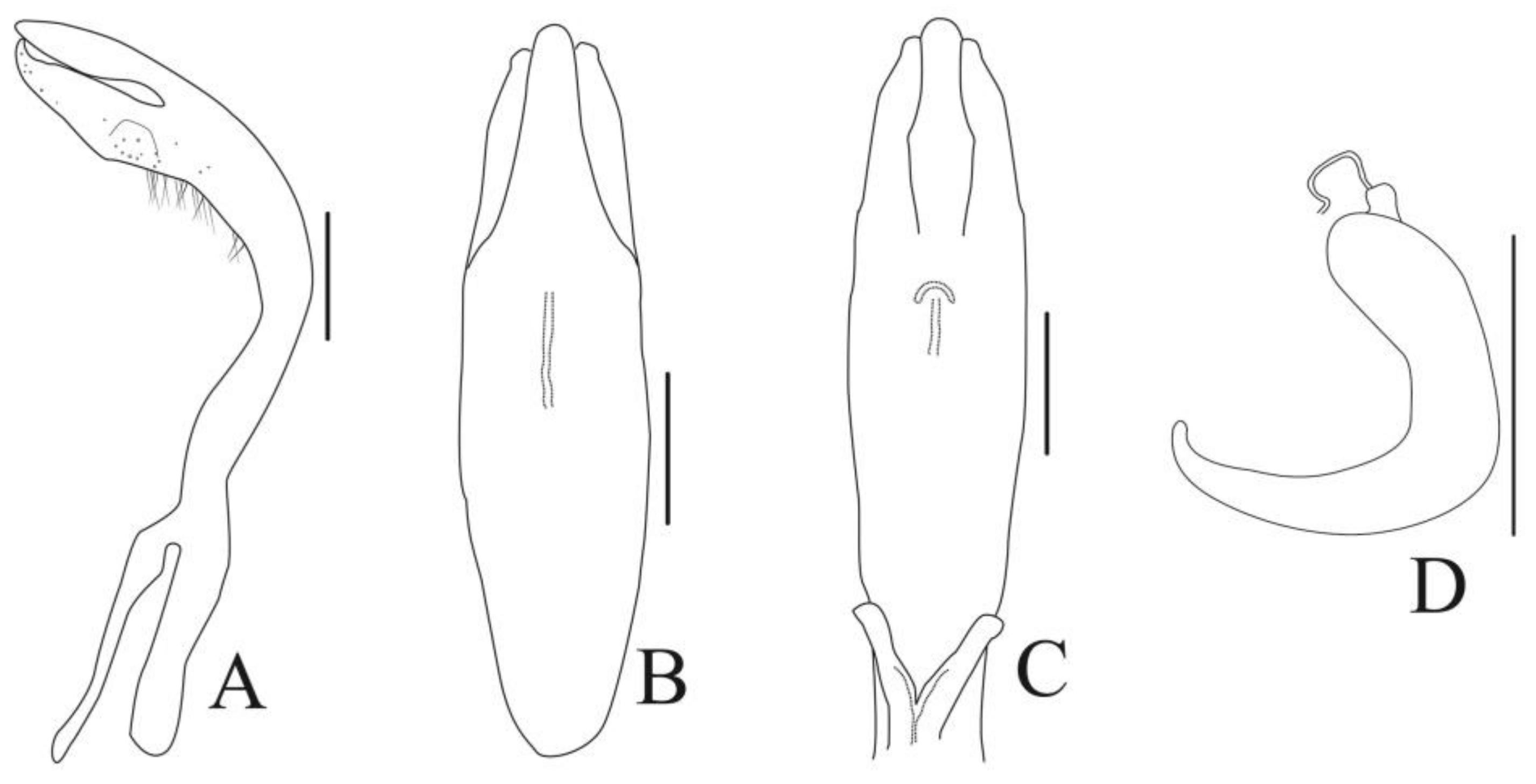 Diversity 13 00523 g003 Diversity 13 00523 g003