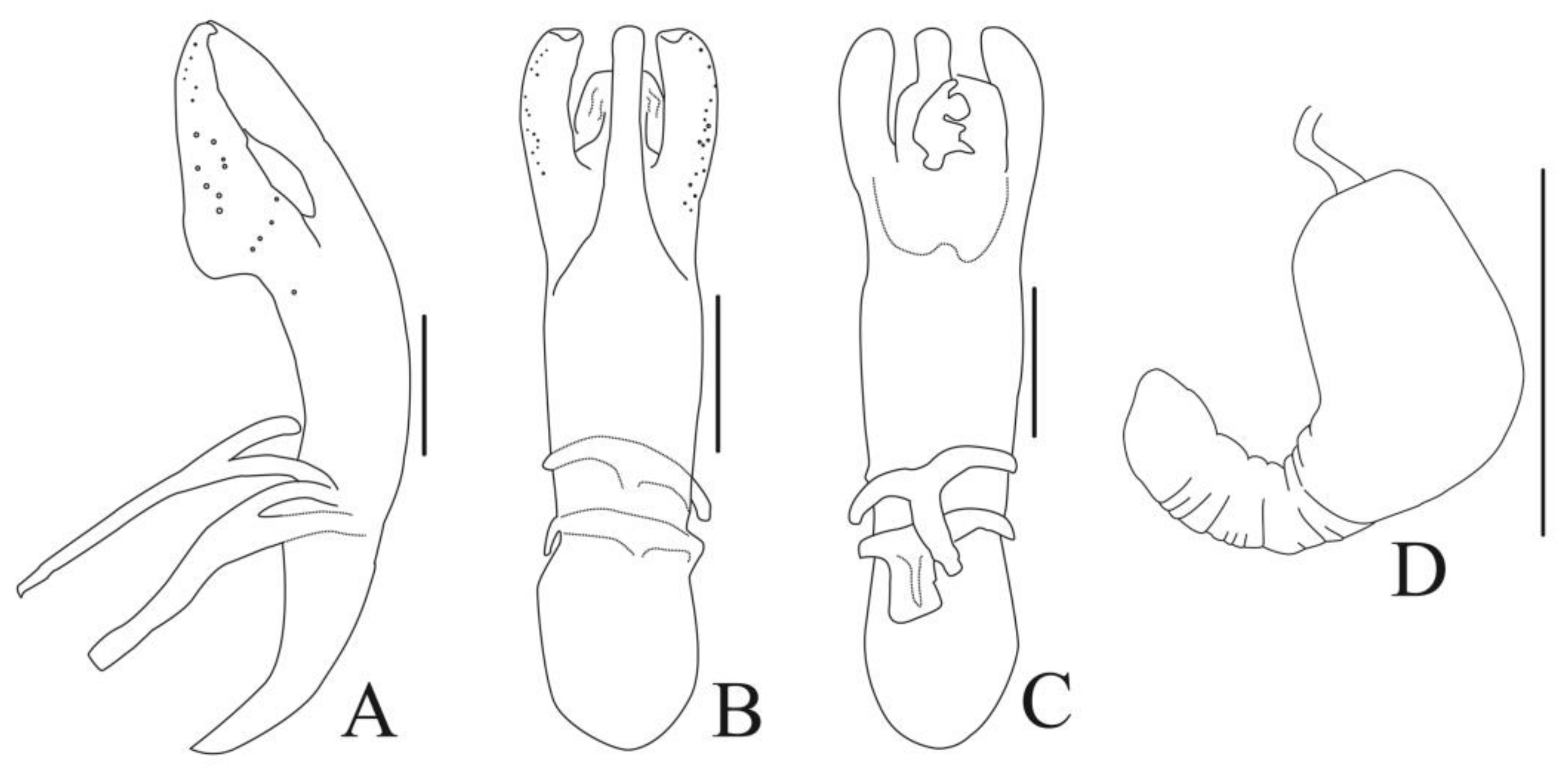 Diversity 13 00523 g005 Diversity 13 00523 g005