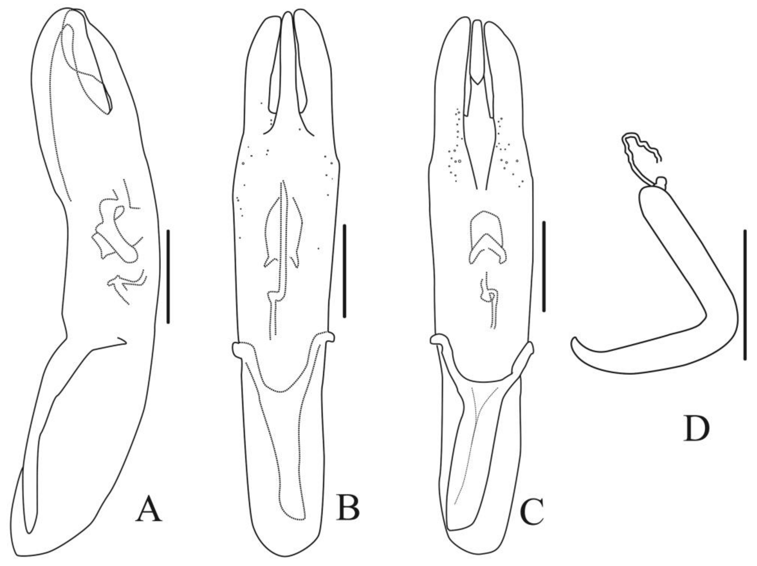 Diversity 13 00523 g007 Diversity 13 00523 g007
