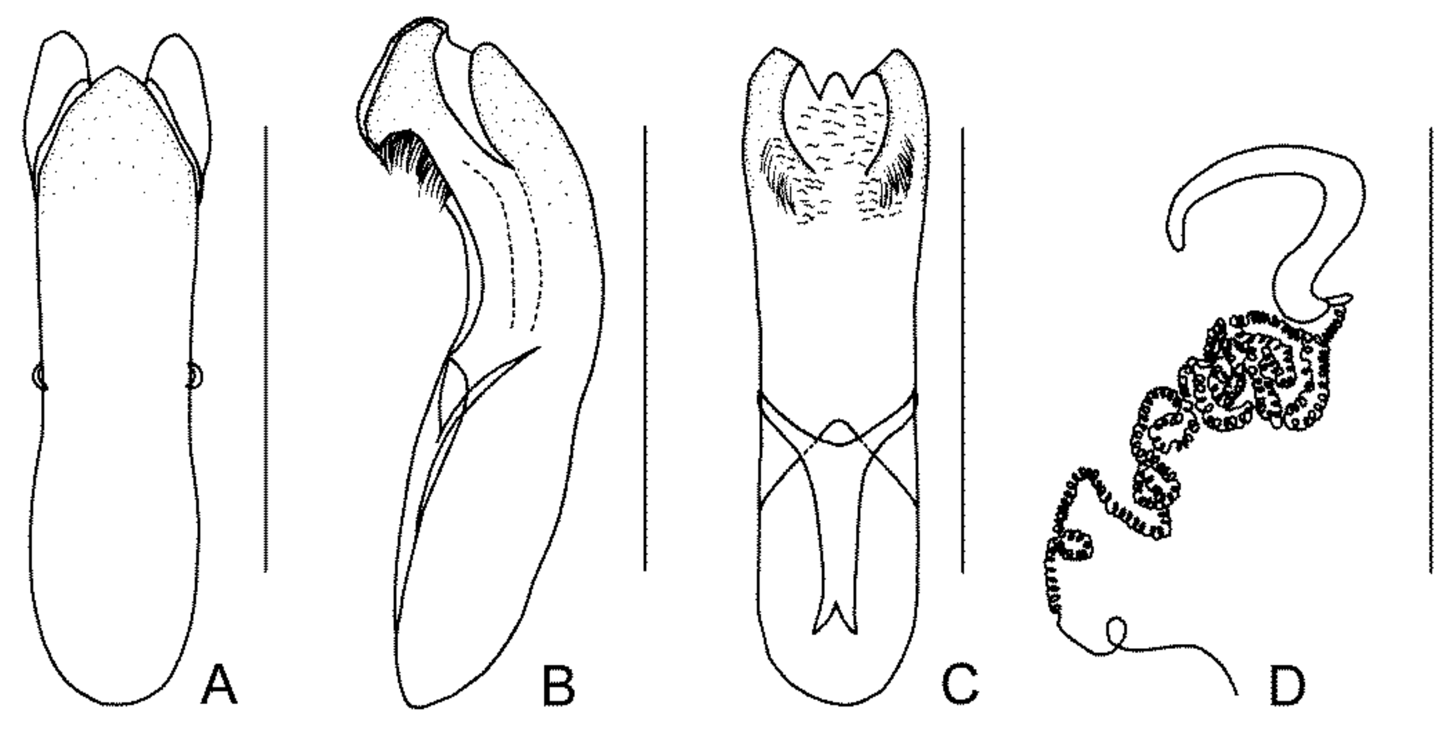 Diversity 13 00523 g009 Diversity 13 00523 g009