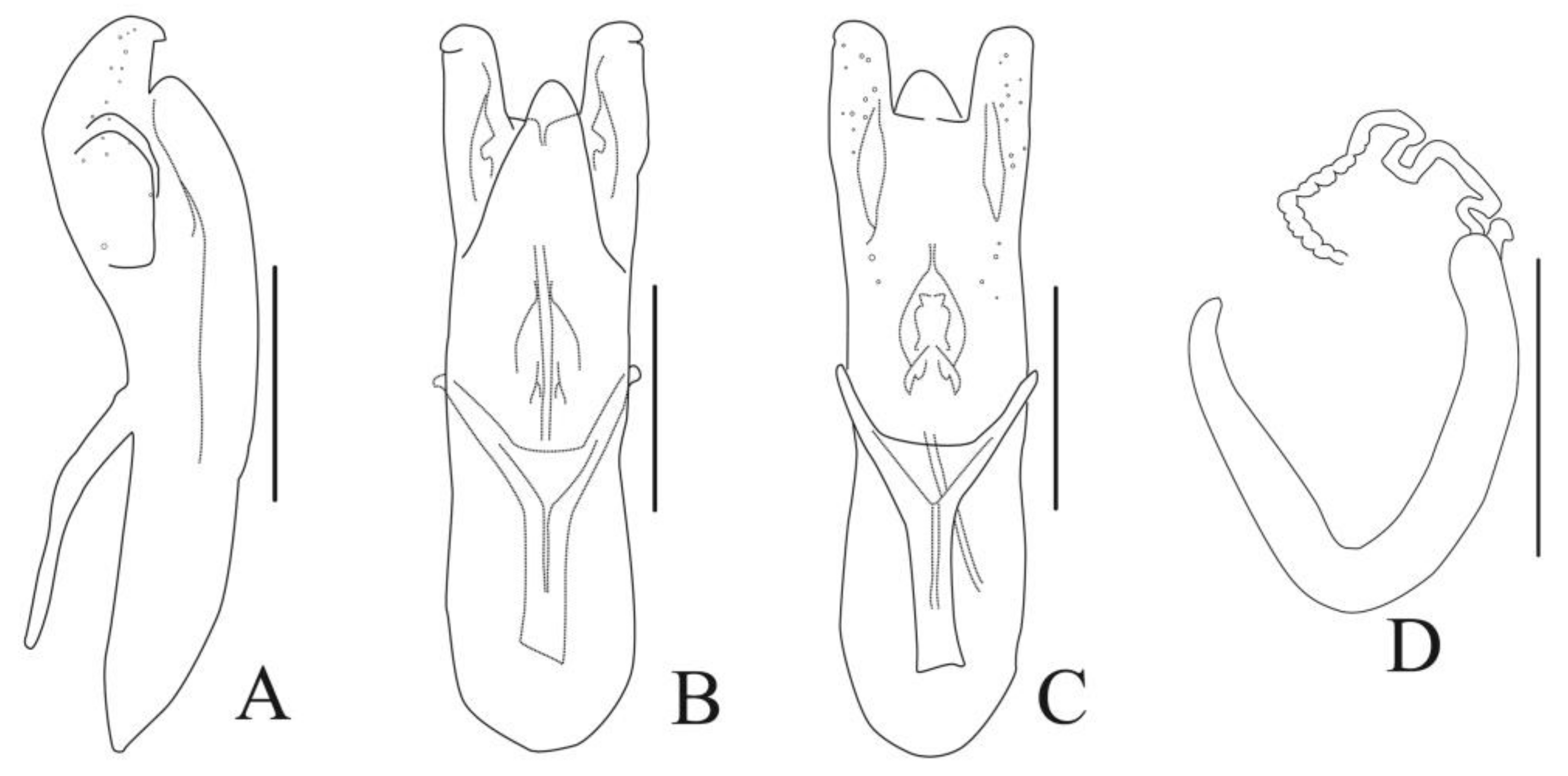 Diversity 13 00523 g012 Diversity 13 00523 g012