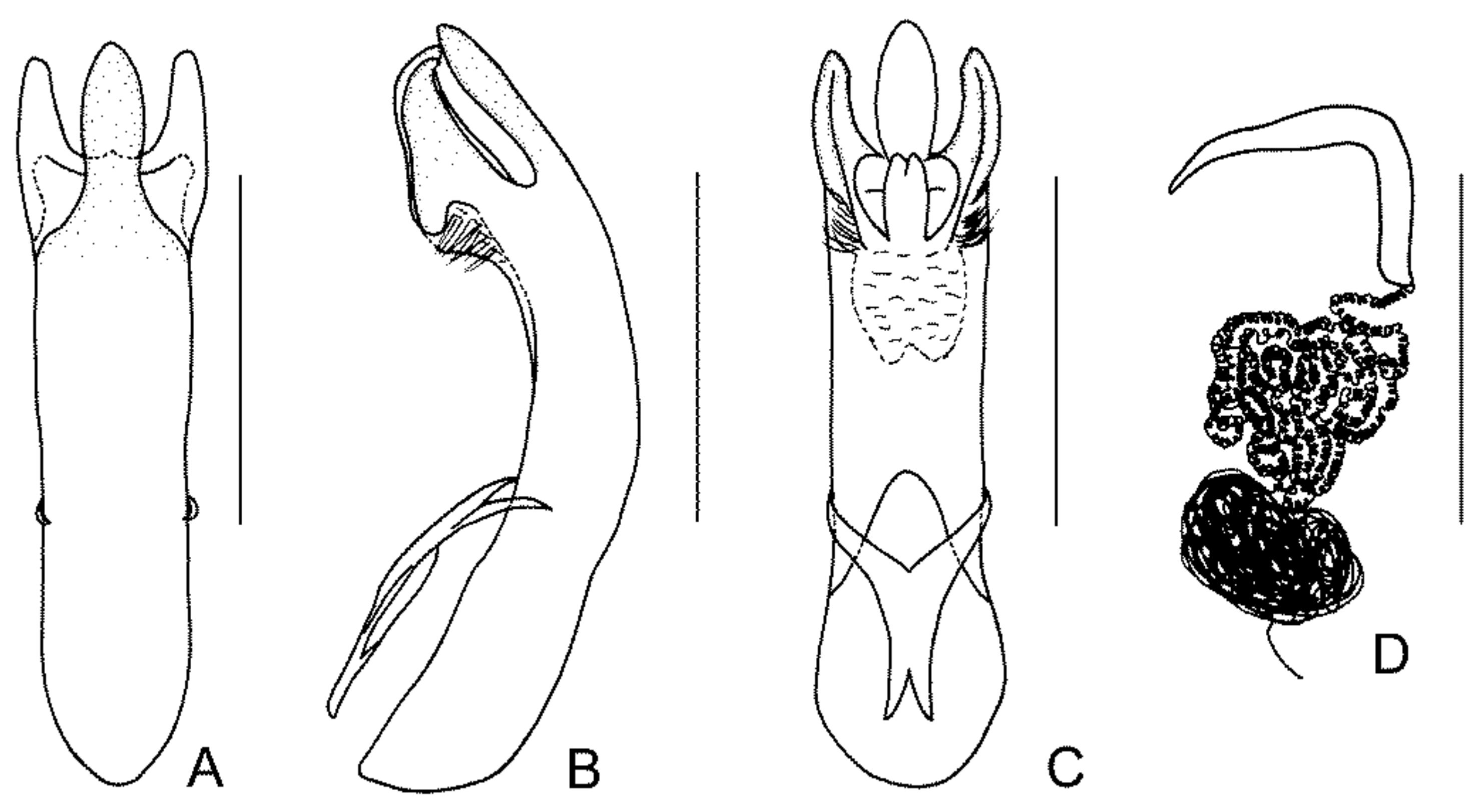 Diversity 13 00523 g014 Diversity 13 00523 g014