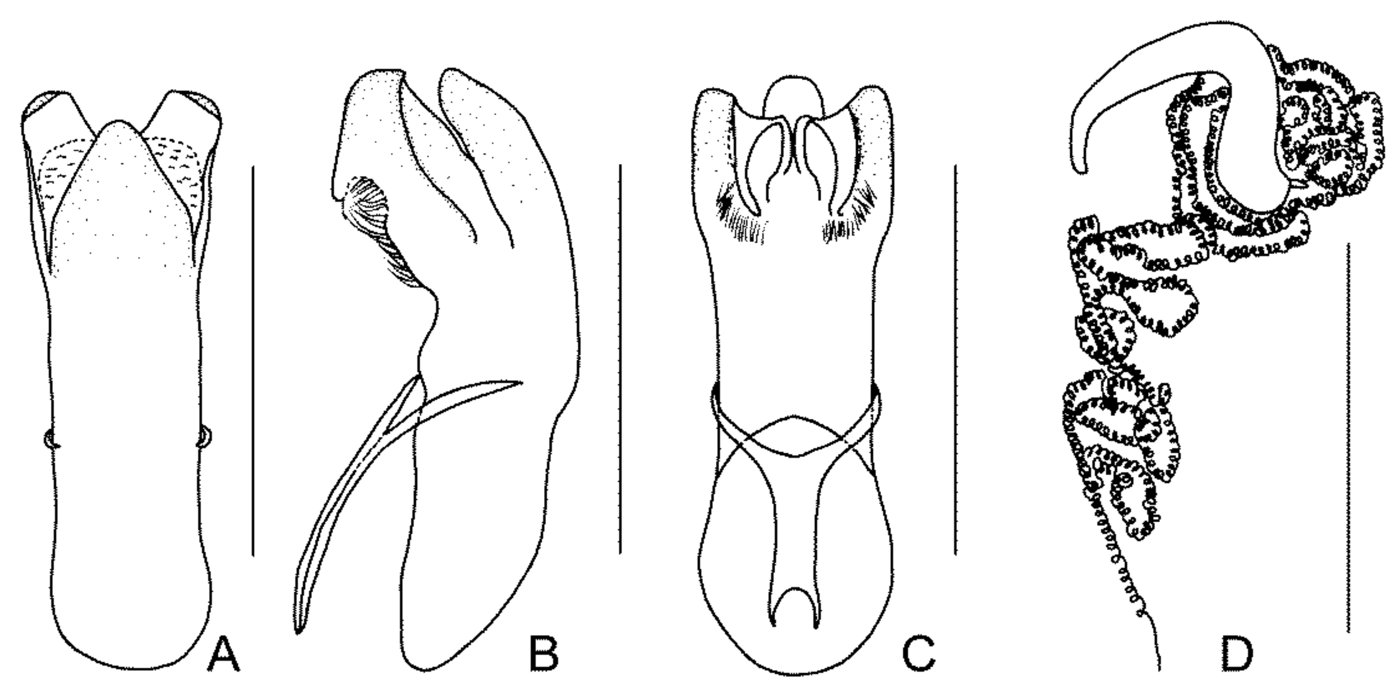 Diversity 13 00523 g016 Diversity 13 00523 g016