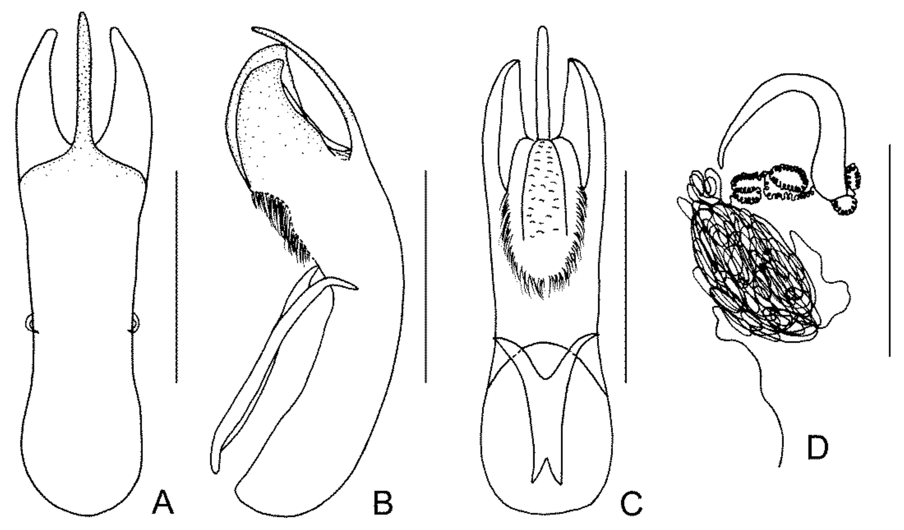 Diversity 13 00523 g018 Diversity 13 00523 g018