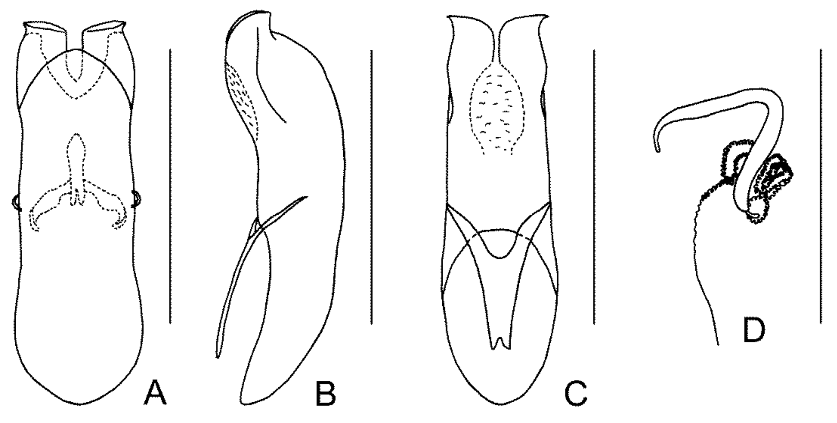 Diversity 13 00523 g020 Diversity 13 00523 g020