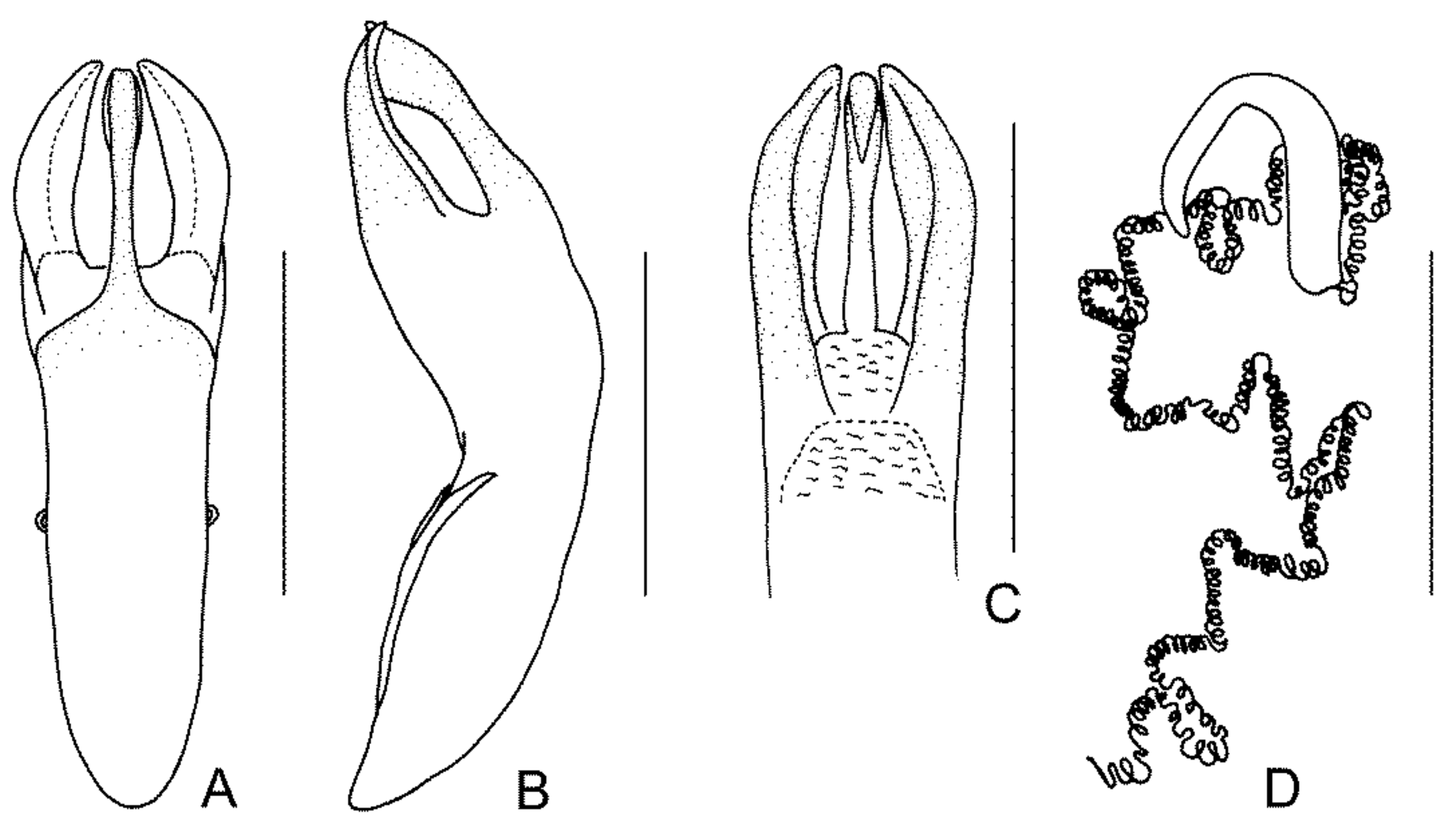 Diversity 13 00523 g023 Diversity 13 00523 g023