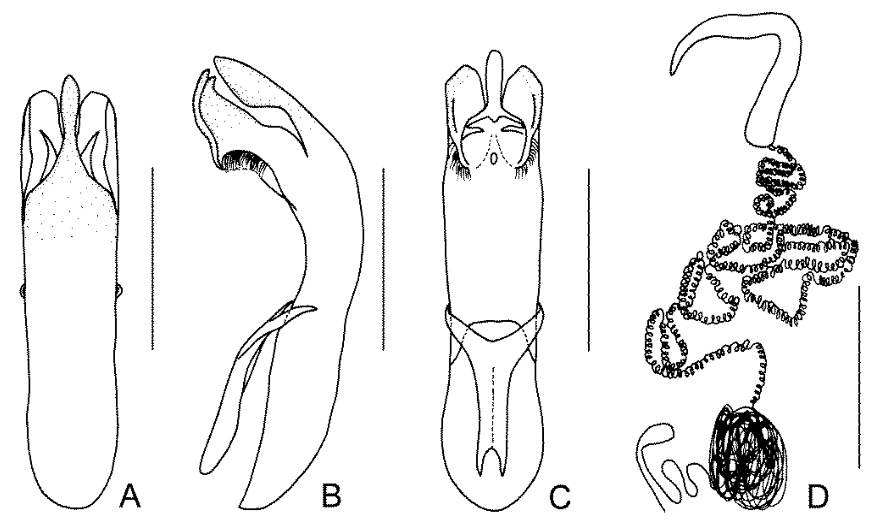 Diversity 13 00523 g025 Diversity 13 00523 g025