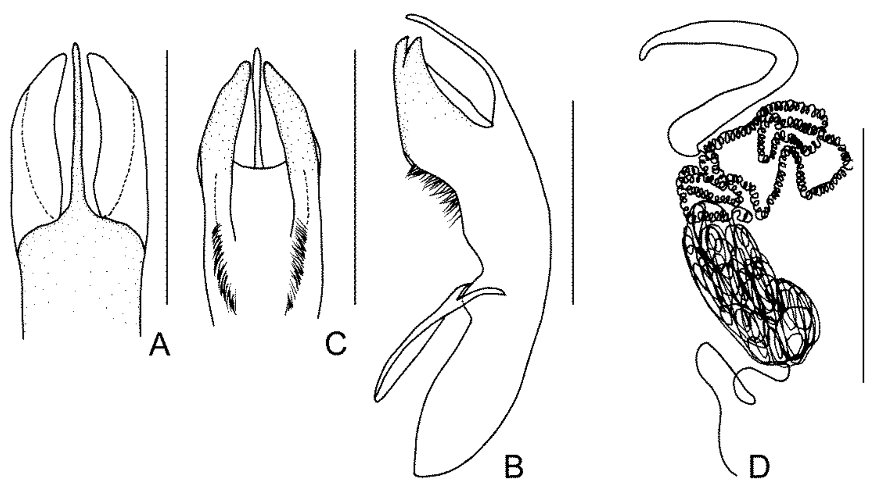 Diversity 13 00523 g027 Diversity 13 00523 g027