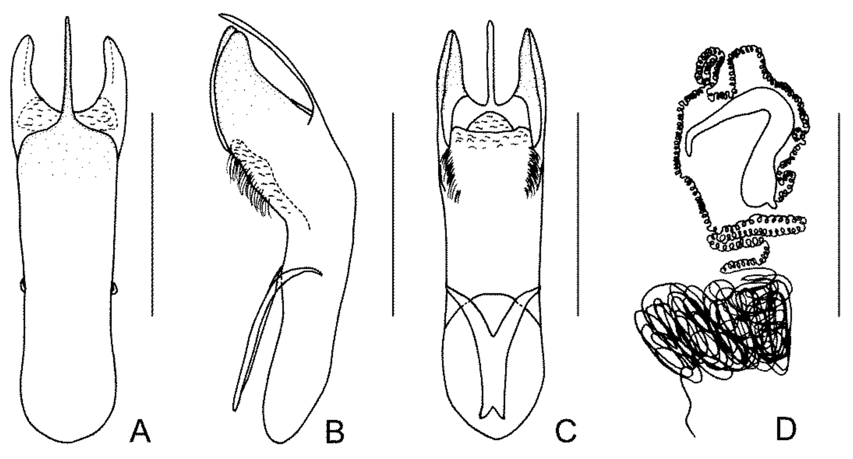 Diversity 13 00523 g030 Diversity 13 00523 g030