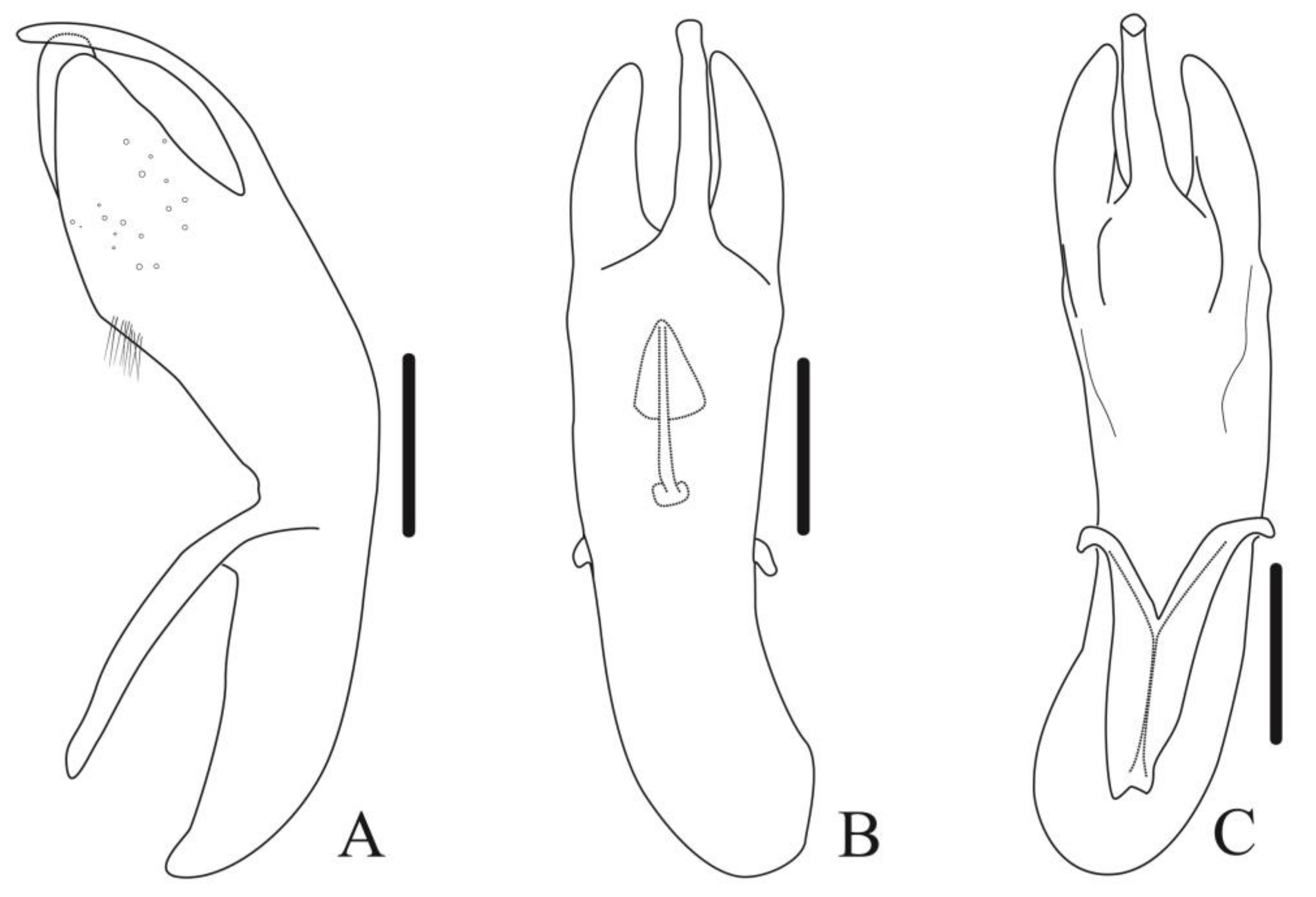 Diversity 13 00523 g032 Diversity 13 00523 g032