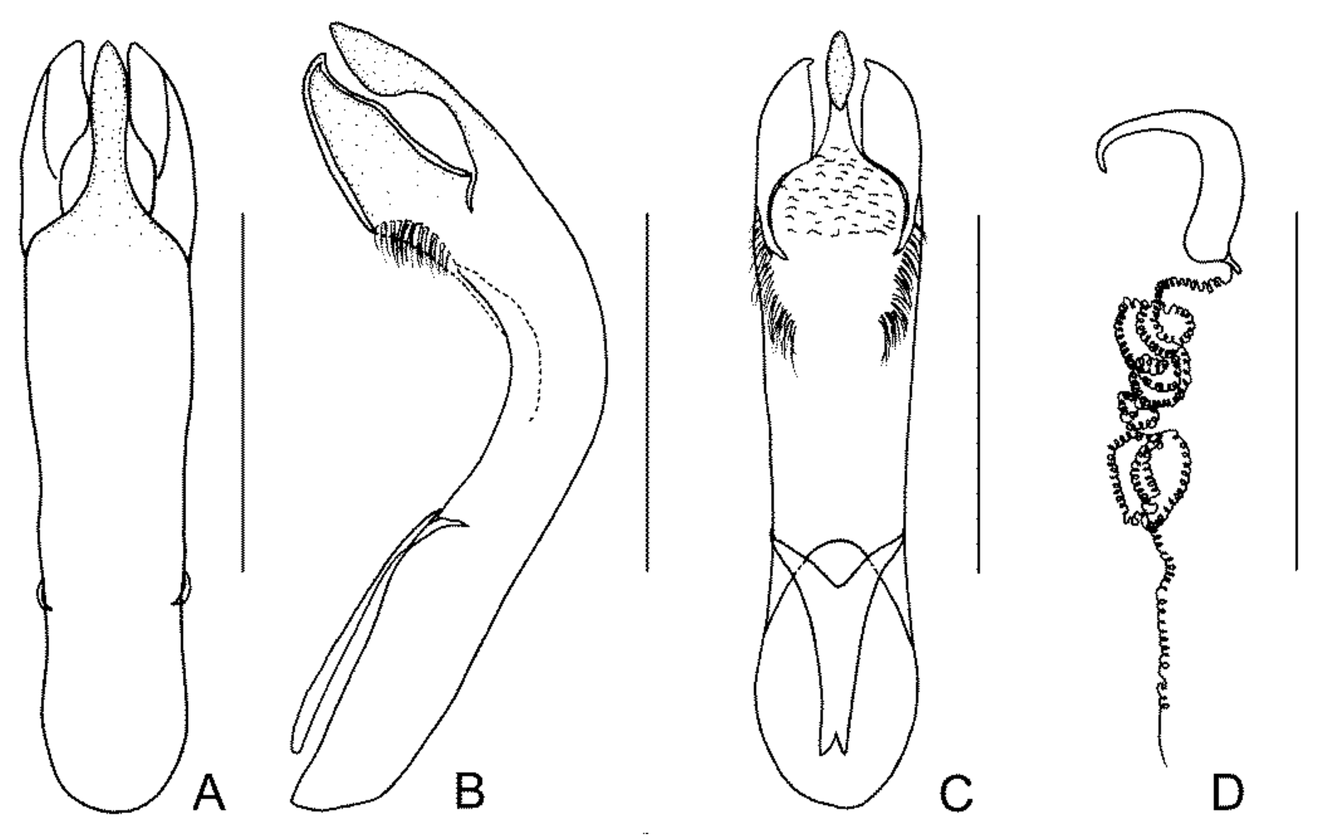 Diversity 13 00523 g034 Diversity 13 00523 g034