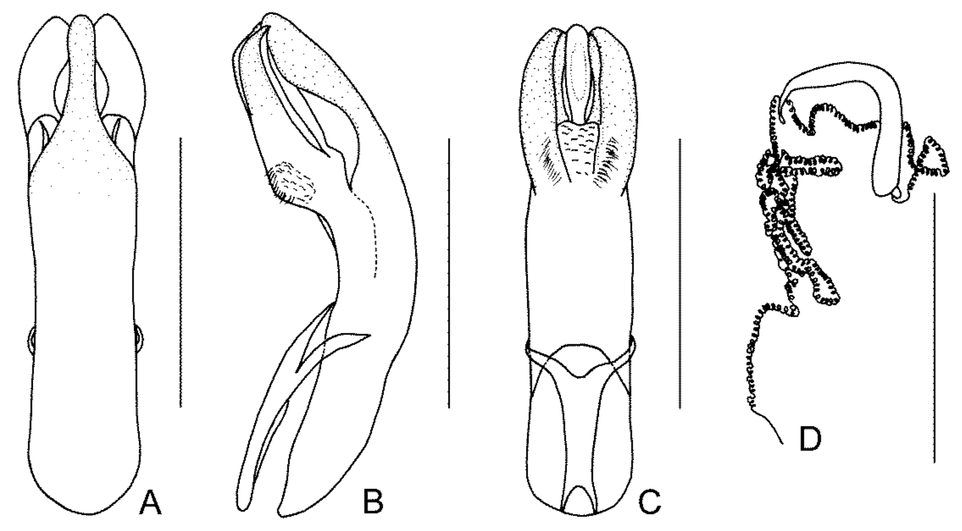 Diversity 13 00523 g037 Diversity 13 00523 g037