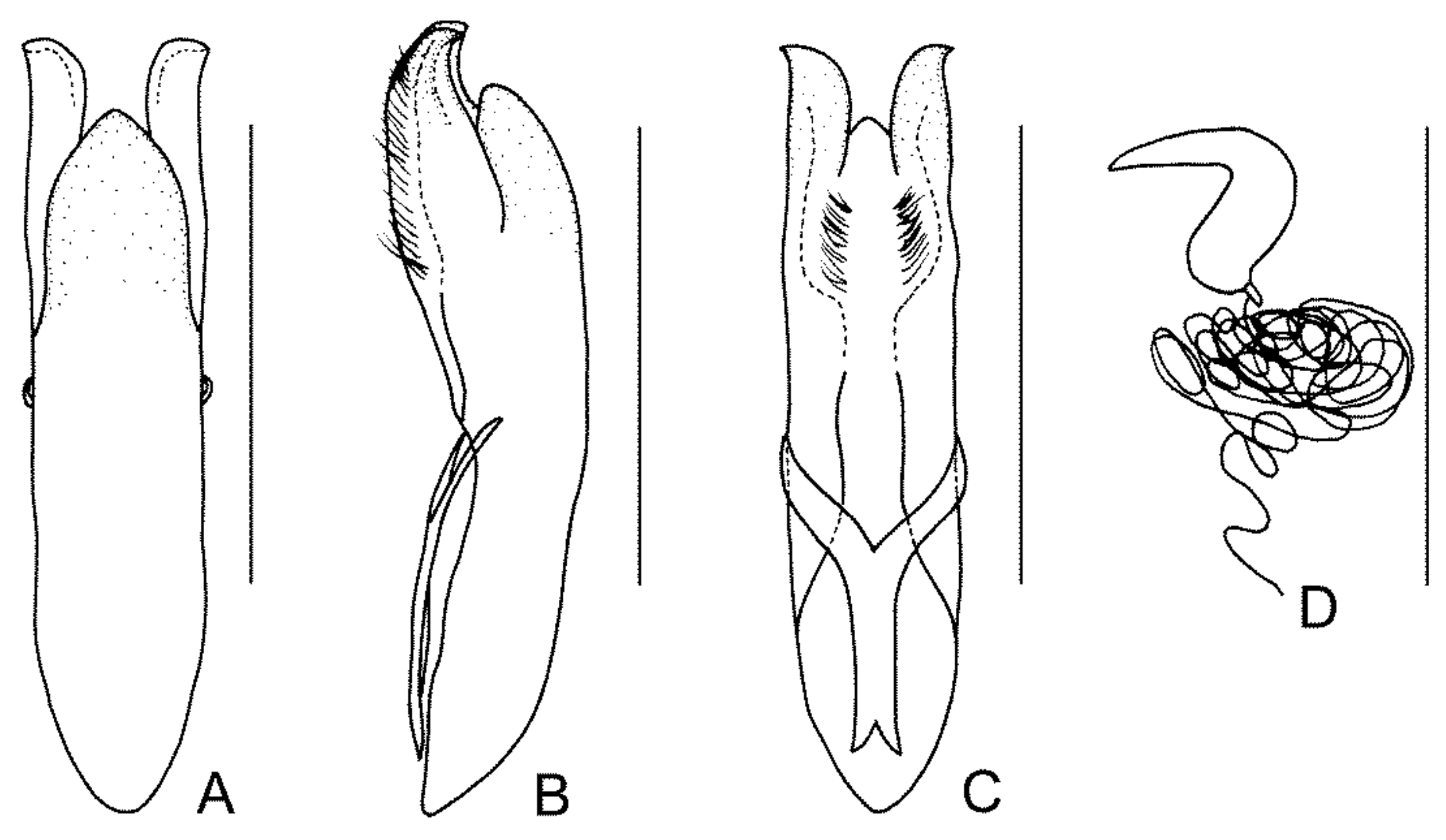 Diversity 13 00523 g039 Diversity 13 00523 g039